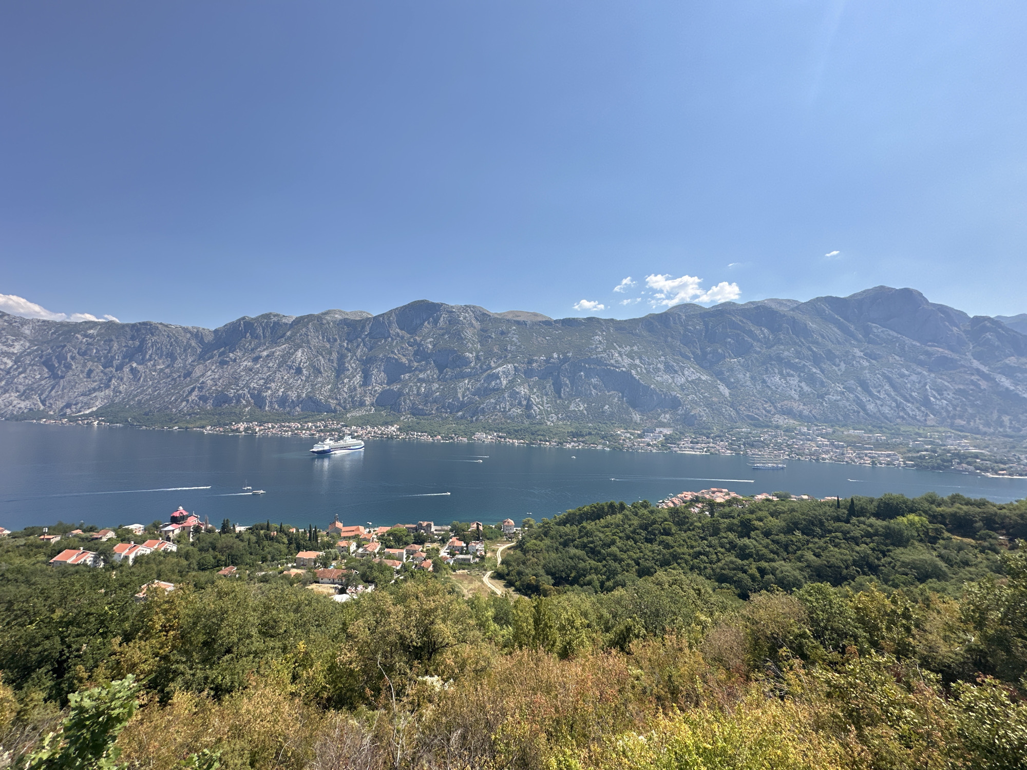 The image captures a wide, panoramic view of the Bay of Kotor in Montenegro, specifically looking towards the town of Prčanj. The sky is a clear, vibrant blue with a few wispy white clouds. In the foreground, a lush, green hillside is covered in dense vegetation, with some trees showing autumnal colors of yellow and brown.
Further down the slope, the terracotta-tiled roofs of Prčanj's houses are visible, nestled amongst the trees. The town appears to be situated on the edge of the bay. A prominent red-roofed church with a dome is a focal point within the town.
The bay itself is a deep, calm blue, reflecting the clear sky. A large white cruise ship is anchored in the bay, with smaller boats, including speedboats leaving white wakes, navigating the water. Across the bay, a line of buildings marks the shoreline of another settlement, and beyond that, a majestic mountain range rises dramatically. The mountains are rugged and rocky, with a muted gray-blue hue, and their slopes are partially covered in vegetation. The overall impression is one of a serene and picturesque coastal landscape.