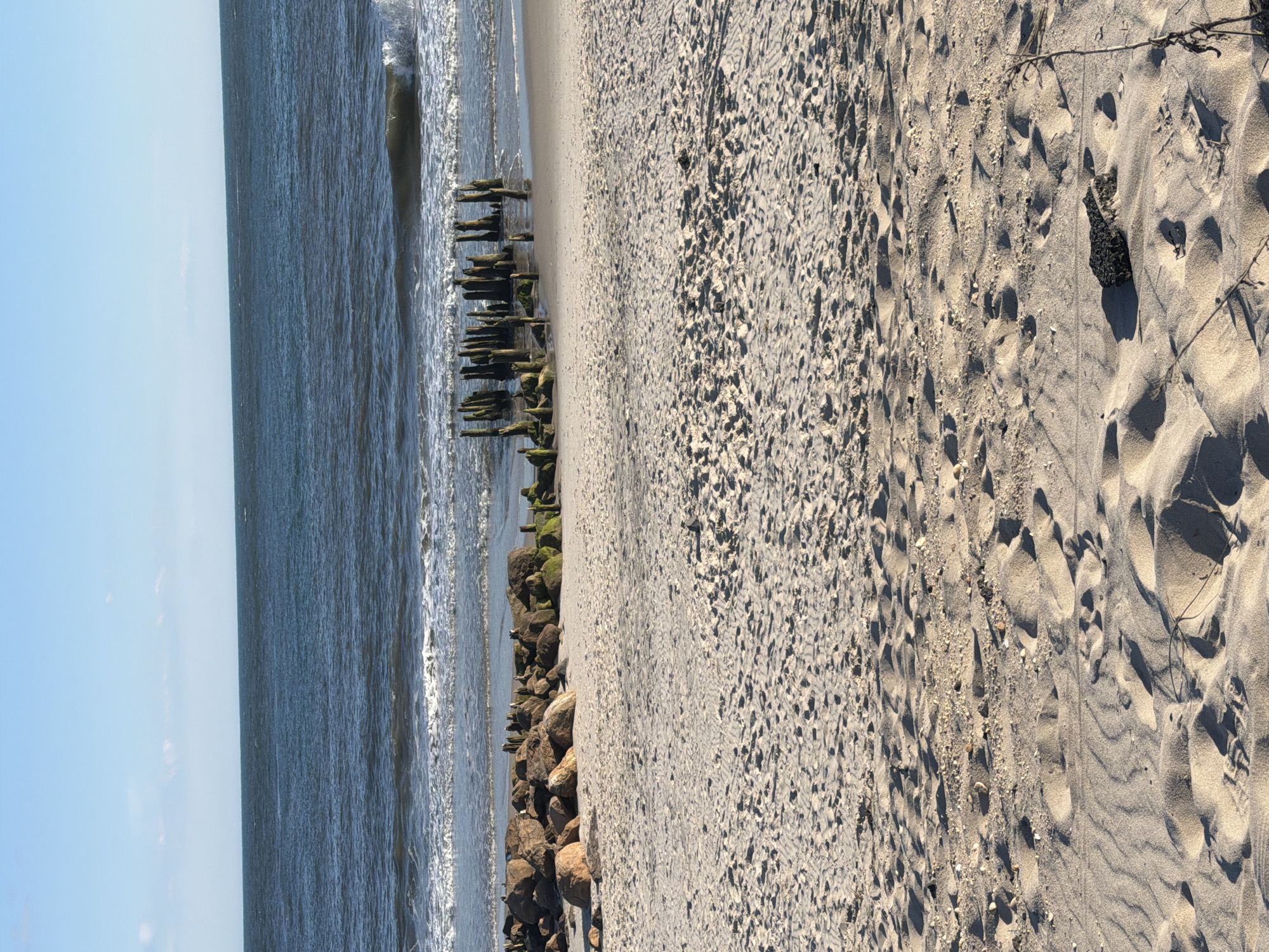 The image depicts a serene beach scene in Hampton Bays, United States of America. The foreground is dominated by a vast expanse of sandy beach, with gentle undulations and scattered pebbles, suggesting the tide has recently receded. A few dry strands of vegetation and a dark, jagged piece of debris are visible on the sand. In the midground, a line of large, rounded stones, some covered in green algae, forms a natural barrier. Behind the stones, a collection of weathered wooden pilings protrude from the sand and water, remnants of a past structure, with some showing signs of decay and encrustation. The ocean stretches to the horizon, its surface a deep blue, with a gentle wave breaking near the shore, creating a line of white foam. The sky above is a clear, bright blue with a few wispy clouds, indicating fair weather. The scene is tranquil and uninhabited, conveying a sense of natural beauty and the passage of time.