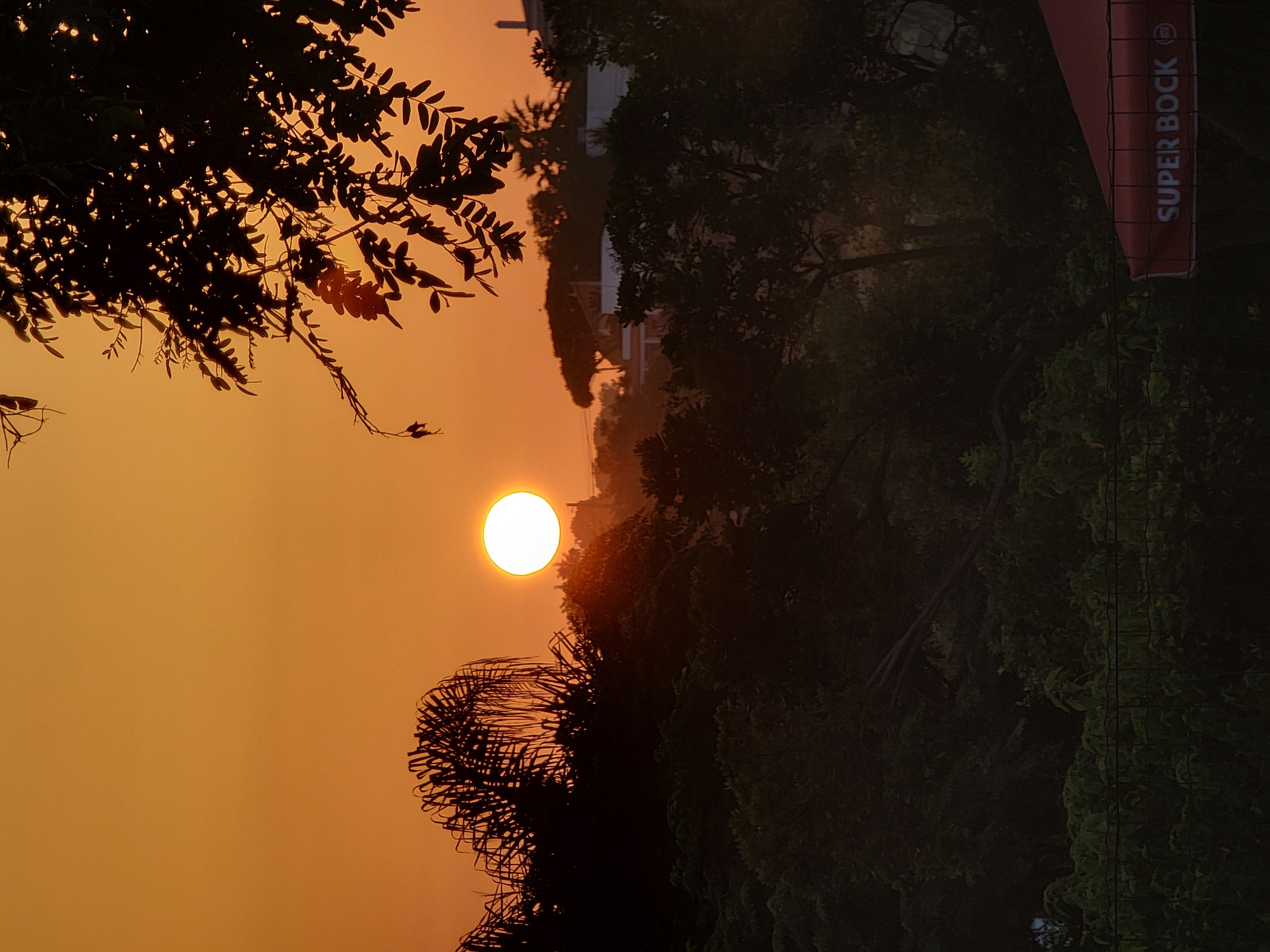 This is a vertical photograph taken during sunset in Quarteira, Portugal. The sun, a bright white orb with an orange halo, is prominently featured in the left half of the image, positioned over a hazy horizon. Silhouetted against the warm, golden-orange sky are the dark shapes of trees with intricate branches and foliage. One tree on the left has delicate, feathery leaves, while another on the right appears denser and more full-bodied.
In the background, beyond the trees, there are faint outlines of buildings, suggesting an urban or semi-urban setting. A tall, thin pole with a red banner featuring white text runs vertically along the right edge of the image. The text clearly reads "SUPER BOCK," which is a well-known Portuguese beer brand. The overall mood of the photograph is serene and atmospheric, evoking the tranquility of the end of the day. The warm tones of the sunset create a sense of calm and natural beauty.