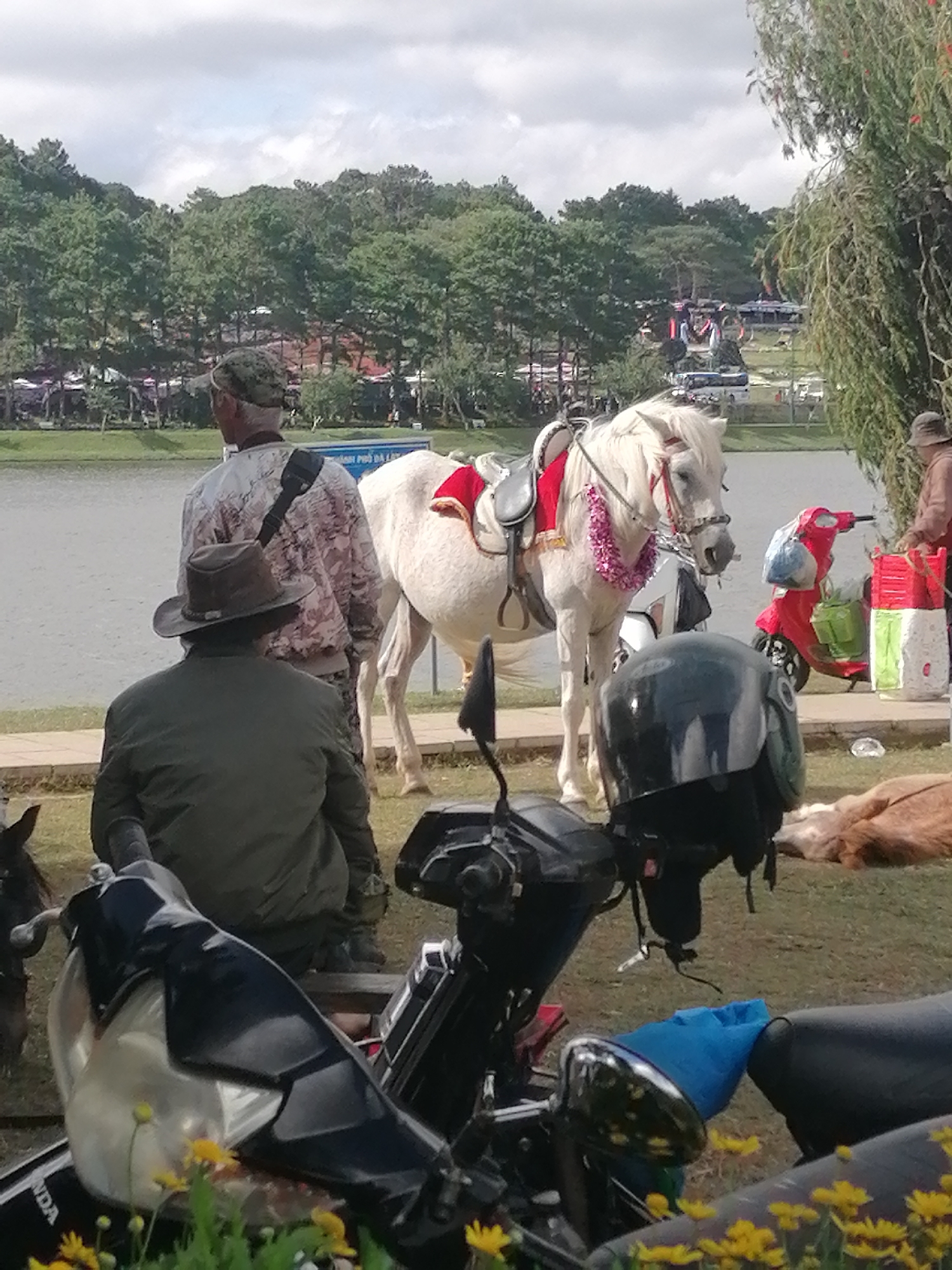 In the city of Da Lat, Vietnam, a white horse stands adorned with a red saddle blanket and a pink lei. To its left, a person in a camouflage cap and patterned shirt stands facing away from the camera. In front of the horse, a person wearing a dark green jacket and a brown hat is seated on a black motorcycle, also facing away. To the right of the horse, a red scooter is parked, and a person in a light brown jacket and hat is visible behind it, holding a stack of red and white containers. The background features a body of water, a treeline, and more distant structures, suggesting an outdoor, possibly recreational, area. Several other motorcycles are parked in the foreground.