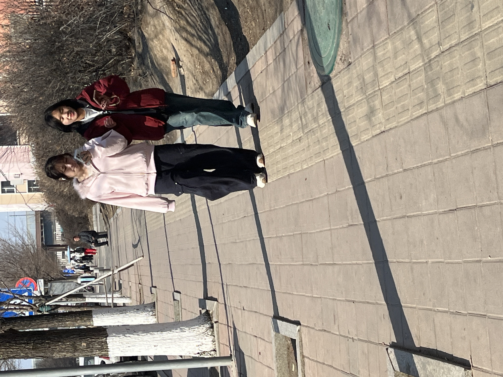The image depicts a sunlit urban street scene in Changchun City, China, likely during late winter or early spring, evidenced by bare deciduous trees and strong shadows. Two East Asian females walk side-by-side on a light-colored paved sidewalk towards the camera. The female on the left wears a pink hooded jacket with faux fur trim, black loose-fitting pants, and white shoes; she is engaged with a white smartphone while wearing white earbuds. The female on the right wears a dark red puffer jacket, blue jeans, and white shoes, holding a brown object in her right hand and looking forward with a slight smile. To their left, a line of deciduous trees with white-painted lower trunks and a grey utility pole line the sidewalk; a blue and red circular traffic sign is partially visible beyond them, and a white pole leans against a tree. Further down the sidewalk, a male figure is seated on a low structure, among other distant pedestrians. On the right, a dirt embankment densely covered with dry bushes runs parallel to the sidewalk, with a single red brick visible on the dirt. The sidewalk features rectangular pavers and tactile paving strips, with a green circular manhole cover in the lower right foreground. Multi-story residential buildings are visible in the distant background. Long, distinct shadows are cast from the left across the sidewalk.