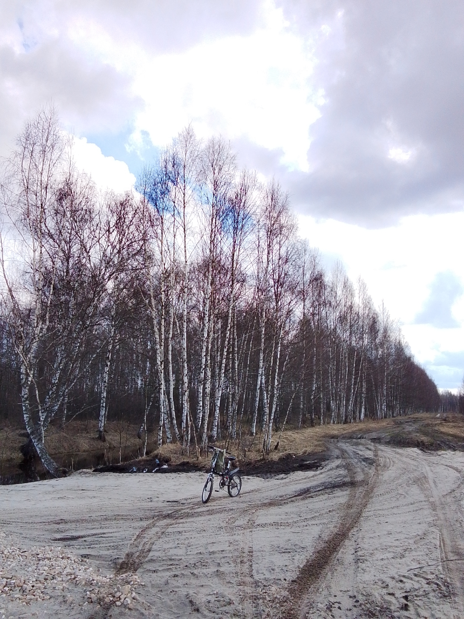 The image depicts a bicycle parked on a sandy clearing near a birch forest. Tire tracks mark the sand, suggesting vehicular traffic. The sky is overcast. The location is likely in or near Snopok Novyi, Russia, based on the user's prompt. No people are visible in the image.