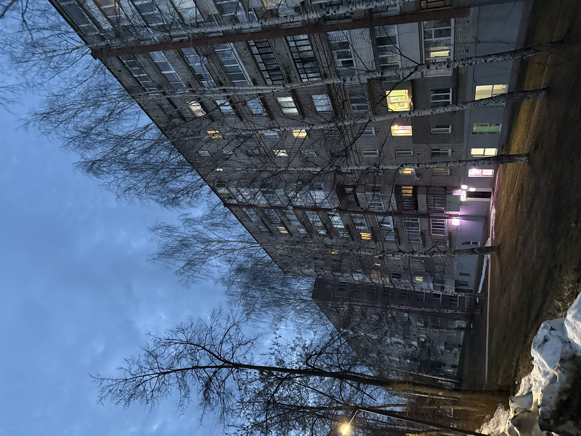 The image displays an exterior scene captured at twilight or dusk in Unknown, Unknown. The sky is dark blue and overcast. Two multi-story residential apartment buildings, constructed primarily of light grey brick, dominate the background and midground. The foreground building is closer and larger in the frame. Numerous bare deciduous trees, characterized by pale trunks suggesting birch species, are interspersed between the viewer and the buildings, and between the structures themselves. The ground is covered with dark brown earth and scattered patches of melting snow, particularly prominent in the left foreground.
Artificial lighting is active: a streetlamp on the far left illuminates the area with a warm yellow glow. Multiple windows across both buildings emit warm yellow and cool white light from interior spaces. A distinct pink or purple light emanates from a ground-level entrance on the foreground building. No individuals are visible. No discernible actions or interactions are occurring.