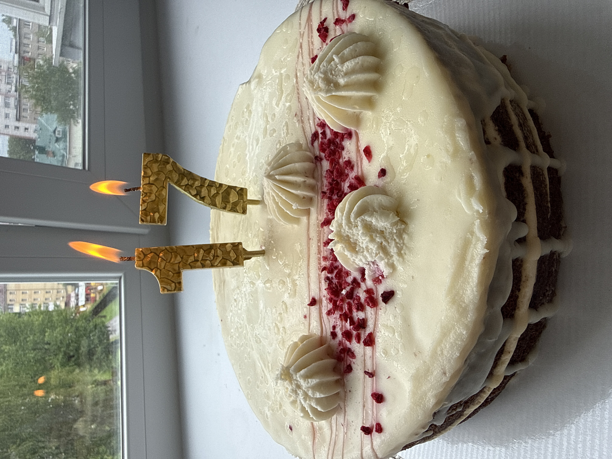 A cake with a white frosting base sits near a window in Шебунино, Russia. The cake is decorated with piped white frosting and red sprinkles. Two candles in the shape of the number "1" are inserted in the cake and lit. Through the window, trees and buildings are visible.