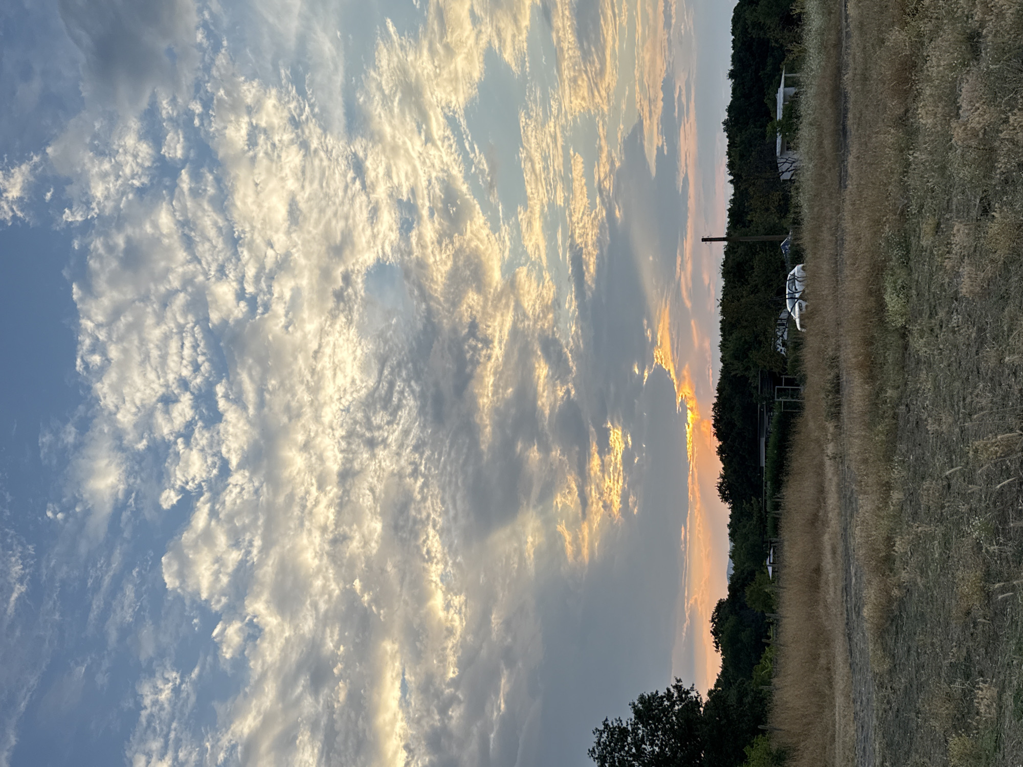 The image depicts a rural landscape at dusk, likely in or around Varvara, Bulgaria. The sky is dominated by dramatic clouds, illuminated by the setting sun, casting rays of light through breaks in the cloud cover. The foreground features dry, golden grass and patches of dry earth. A line of dense green trees forms the horizon, behind which are some low-lying structures and a white vehicle. The overall impression is one of a tranquil, natural setting as day transitions to night.