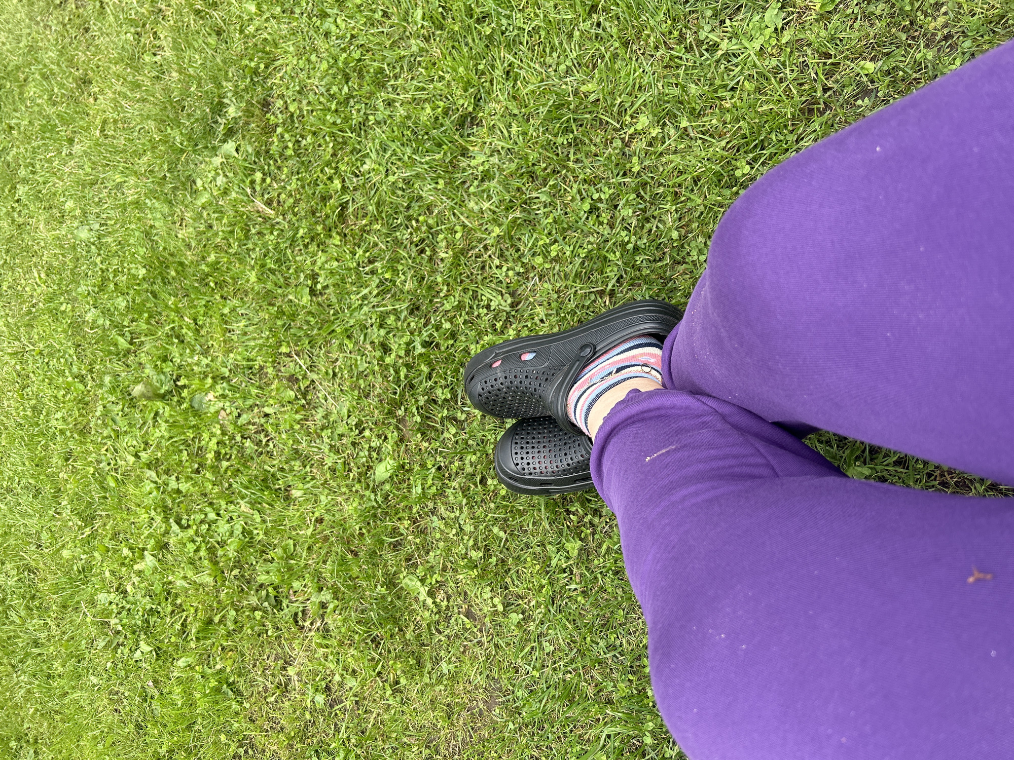 The image shows a person's legs, clad in bright purple sweatpants, resting on a patch of green grass. The person is wearing black Crocs and striped socks. The grass appears to be a lawn, possibly in a park or backyard, with some clover mixed in. There are no city landmarks or identifiable structures visible in the image, so it is impossible to determine the specific location in Ленинградская, Russia, or any other city. The scene is static and focuses on the lower half of the person's body and the surrounding ground.