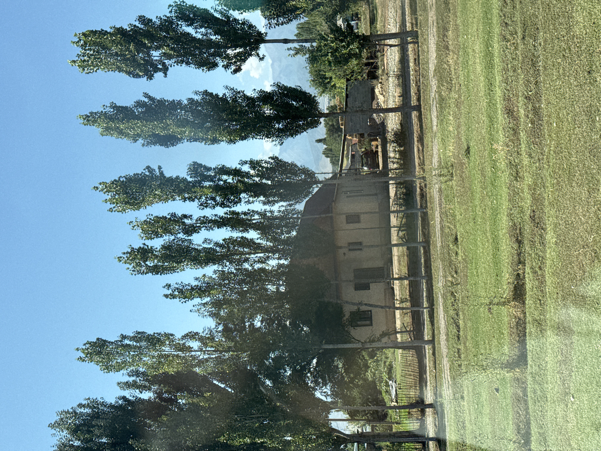 The image depicts a rural scene in the city of Sailyk, Kyrgyzstan, under a clear blue sky. A line of tall, slender trees with dense green foliage dominates the foreground, partially obscuring a simple, single-story building. The building appears to be made of light-colored material, possibly stucco or adobe, with a dark-colored door and at least one window visible. Behind the building, there is a more complex structure, possibly a barn or workshop, with some agricultural equipment, including what looks like a tractor, present. A fence made of thin wooden posts runs along the property line in front of the building. The ground in front of the building is covered in gravel and dirt, while the area further forward is a lush green grassy field. In the background, distant mountains are visible, their shapes softened by the atmospheric haze. The overall impression is one of a peaceful, working agricultural landscape.