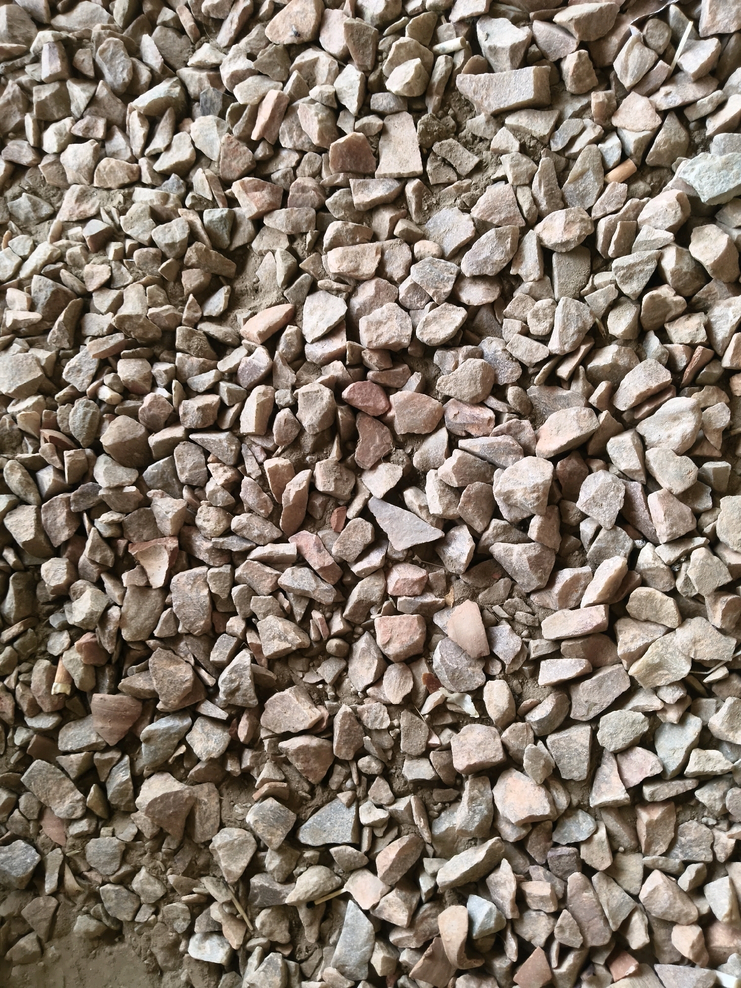 The image is a close-up, top-down view of a surface covered in numerous small, angular stones. The stones are predominantly a pale, earthy color, with variations of light brown, tan, and some hints of pinkish-grey. They appear to be a type of gravel or crushed rock, irregularly shaped and of various sizes, most ranging from approximately 1 to 5 centimeters in their longest dimension. The stones are densely packed, with some areas showing exposed earth or sand between them. The lighting suggests an outdoor environment, with subtle shadows indicating the irregular texture of the surface. There are no visible people, animals, or discernible objects beyond the stones themselves. The scene depicts a ground surface composed entirely of this aggregate material. The location is identified as Goondpur, India.