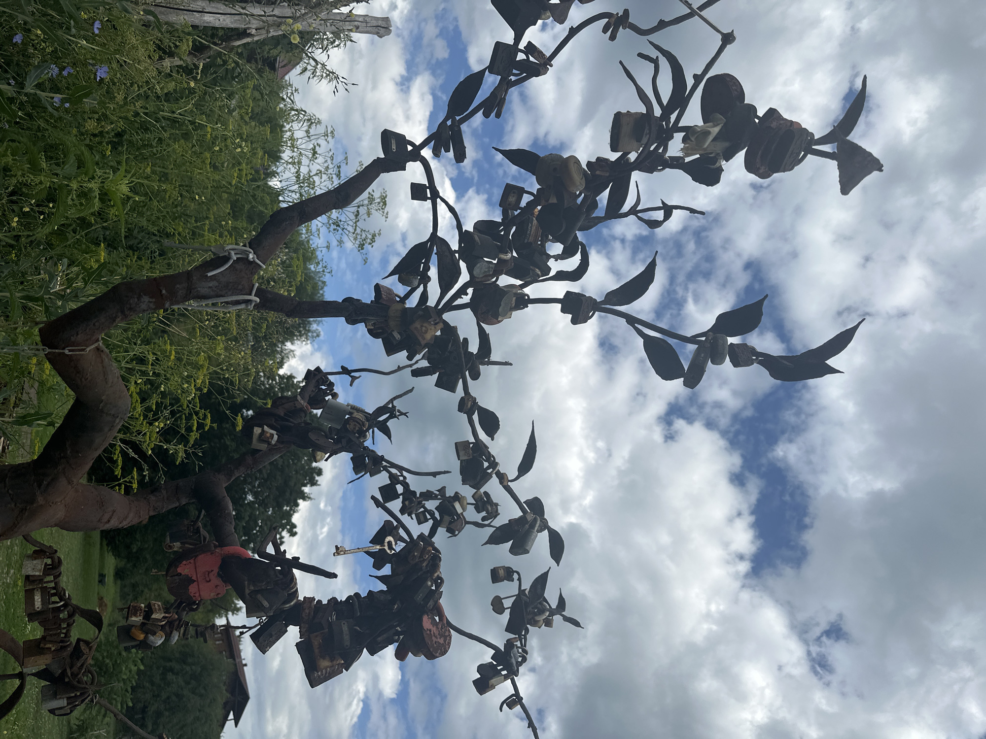 This is a medium shot, outdoor, eye-level photograph of a rusty metal sculpture resembling a tree adorned with numerous padlocks and a single key. The sculpture is set against a cloudy sky with patches of blue. The tree's branches are thin and metallic, with several leaf-like shapes also made of metal. The padlocks vary in size, color, and degree of rust, with some appearing to be silver, black, or red. One key is hanging from a branch.
The sculpture is positioned in a natural environment with lush green foliage, including tall grasses and wildflowers, in the foreground and mid-ground. In the background, trees and a building with a dark roof are visible. To the left of the sculpture, a weathered wooden post is visible.
The image does not contain any people or animals, and no actions or interactions are depicted. The overall scene is static and focuses on the artistic sculpture and its natural surroundings. The location is identified as Danilovka, Altai Krai, Russia.