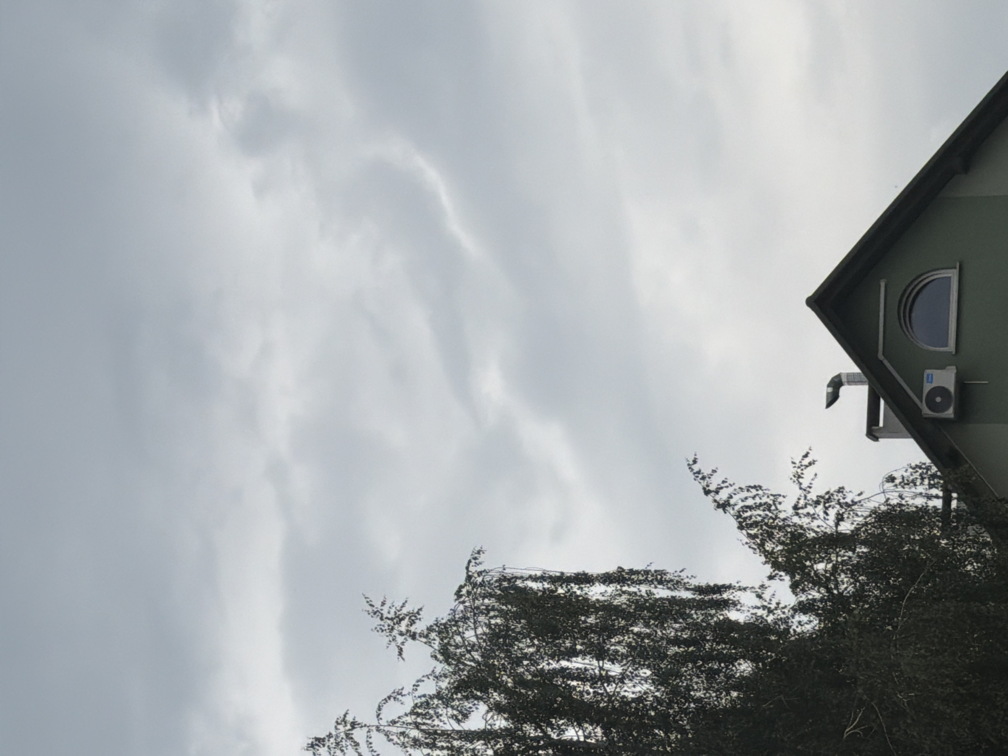 A light green house with a dark roof is visible in the lower right corner of the image. The house has a semicircular window with a dark frame and an air conditioning unit mounted on the exterior wall. A metal chimney extends from the roof. To the left of the house, a large tree with dark green leaves partially obscures the sky. The sky is overcast with light gray clouds, and there is no visible sign of human activity. The image appears to have been taken from a low angle, looking upwards.