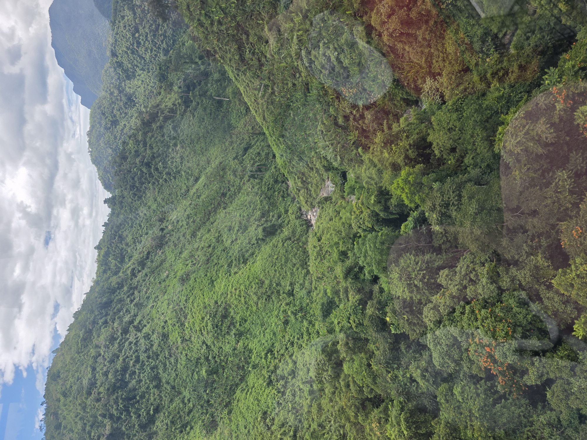 The image displays a dense, verdant jungle covering steep, rolling hills. The vegetation is thick and varied, with shades of green ranging from deep emerald to lighter, almost yellowish hues. Some areas show the characteristic broad leaves of tropical plants, while others appear to be covered in smaller foliage. In the distance, larger, more rugged mountain peaks are visible, partially obscured by a cloudy sky. A faint, winding river or stream can be seen cutting through the valley. The scene suggests a remote, natural landscape, possibly within a mountainous region. There are no visible signs of human habitation or activity within the immediate frame of the jungle itself, though the presence of reflections on what appears to be glass suggests this is a view from a protected vantage point, such as a building or a vehicle. The overall impression is one of untamed natural beauty. This landscape is likely located in the mountainous outskirts of Da Nang, Vietnam, possibly in the Son Tra Peninsula or the western mountainous districts which are characterized by extensive forests and challenging terrain.
