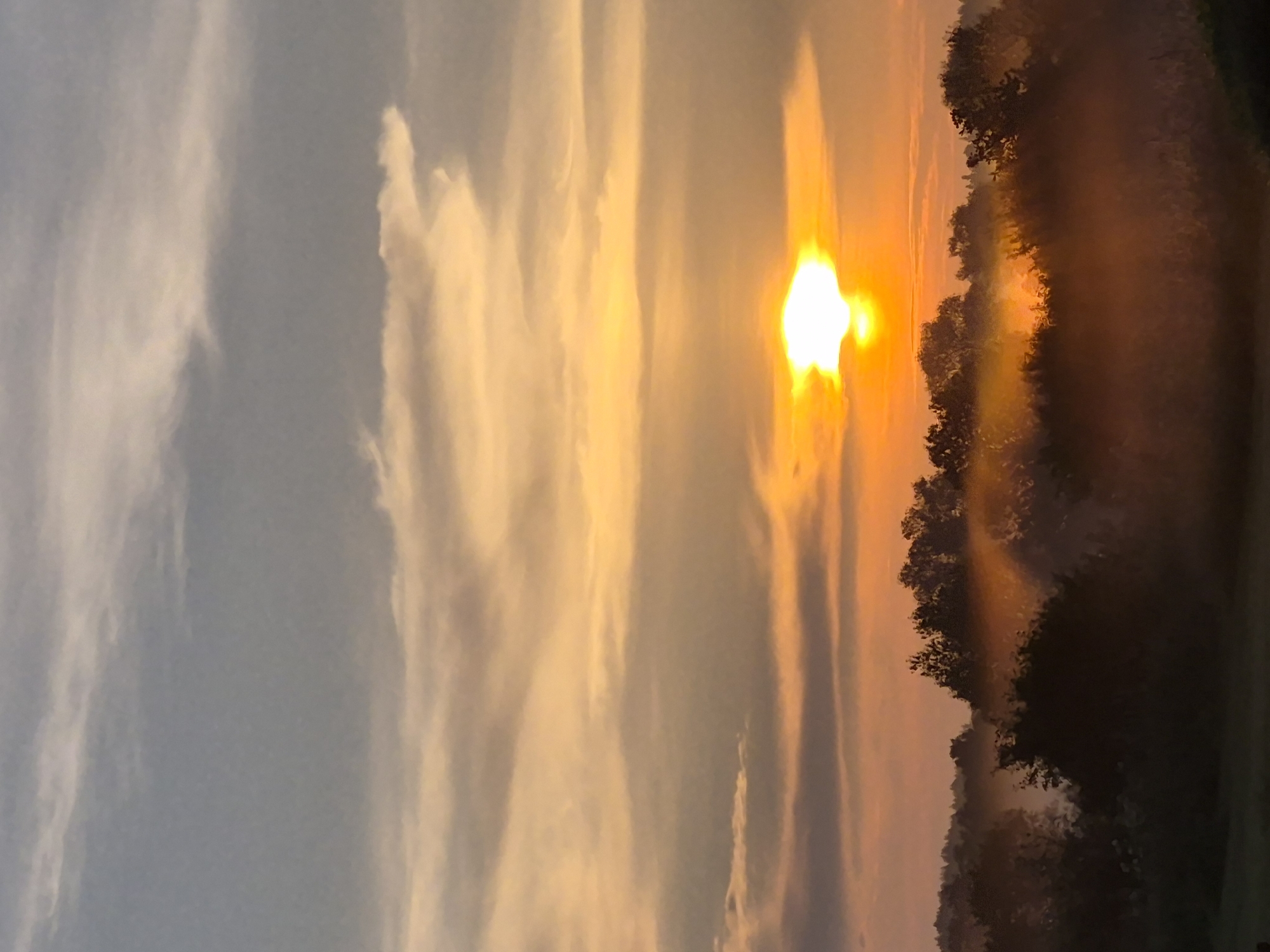 The image captures a serene sunrise over a misty landscape in Sooblase, Estonia. The sun, a brilliant white orb, is partially obscured by a band of clouds, casting a warm, golden-orange glow across the sky. Wispy, pale clouds drift above, transitioning to a muted gray-blue at the top of the frame. Below, a dense forest is shrouded in a soft, ethereal mist that catches the sunlight, creating an atmospheric haze. The silhouettes of trees are visible through the fog, their shapes softened and indistinct. The foreground appears to be a field or meadow, also veiled in mist, with the dark, silhouetted outlines of vegetation. There are no people or discernible man-made structures visible in the scene. The overall impression is one of tranquility and natural beauty.