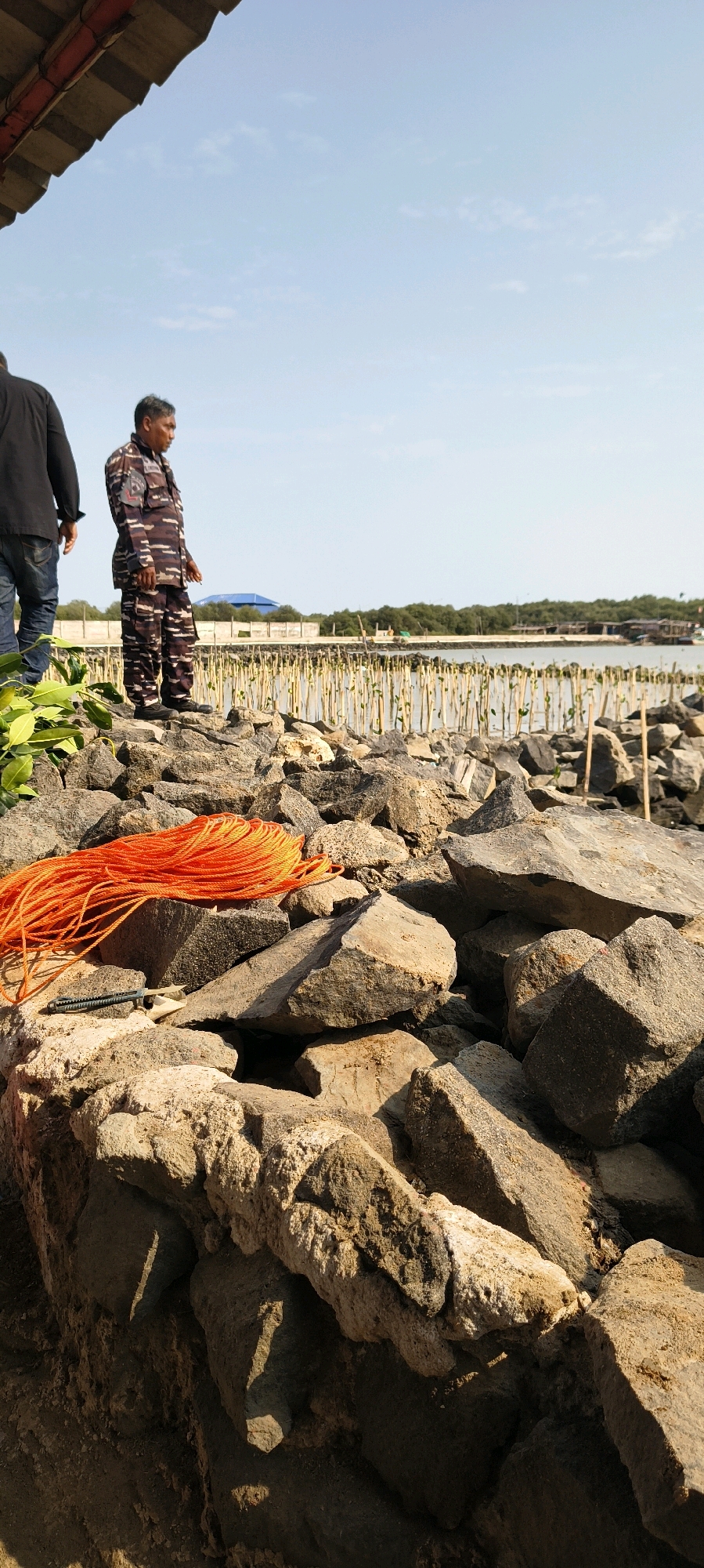 A man in a camouflage uniform stands on a rocky shore, looking out towards a body of water. He is to the right of another person, who is partially visible and wearing dark clothing. In the foreground, a coil of bright orange rope and a knife lie on the rocks. Behind the man, a line of wooden stakes with young plants emerges from the water, suggesting a mangrove planting project. In the distance, there are trees and buildings. The sky is clear and blue. This scene appears to be in Gebang, Indonesia, likely near a coastal area undergoing environmental restoration.