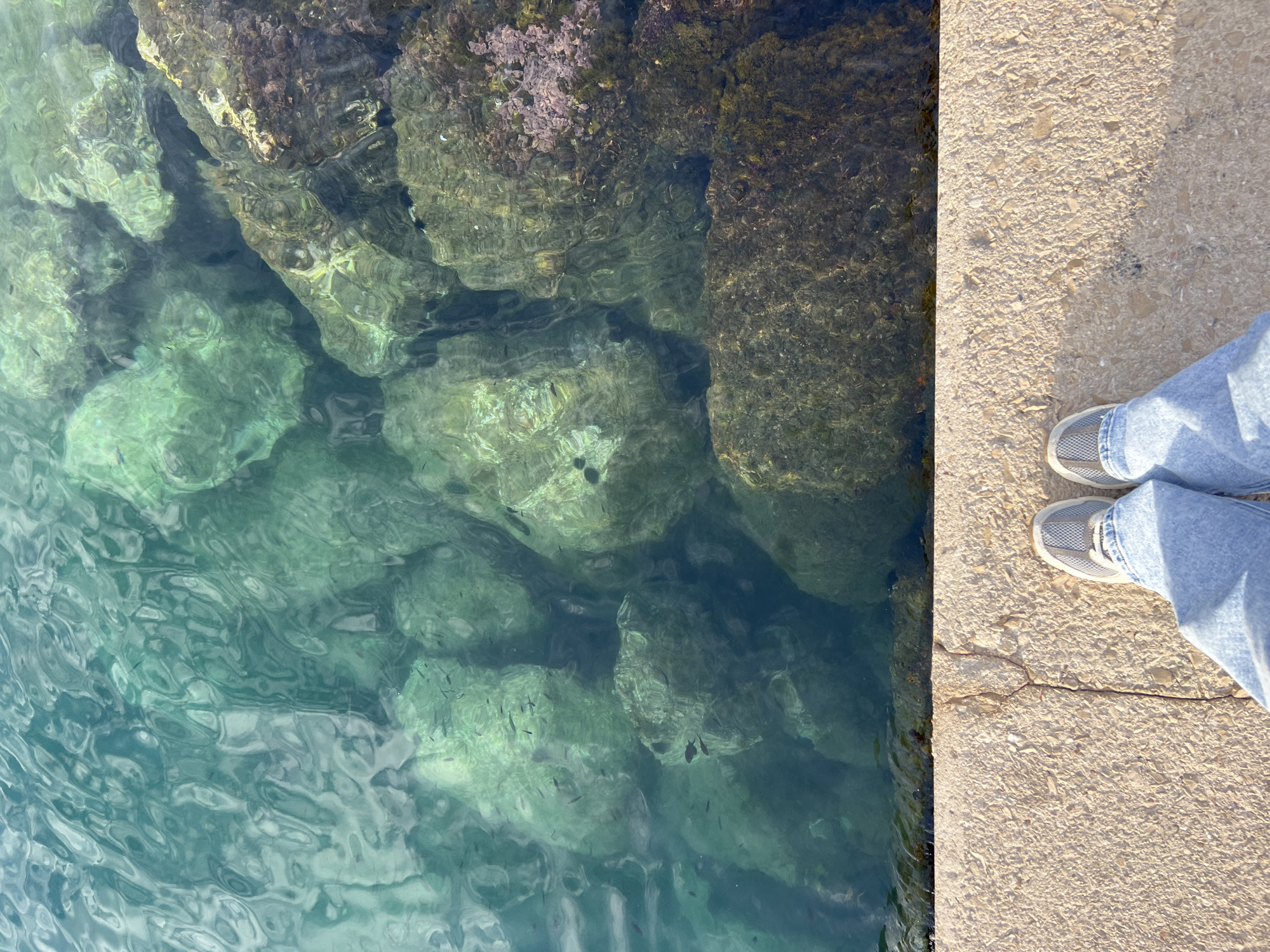 A top-down, slightly tilted, outdoor shot shows the edge of a concrete pier meeting the water along the coast of Bar, Montenegro. Visible beneath the surface are submerged rocks and what appears to be small fish swimming in the clear turquoise water. A person is standing on the pier, their feet and lower legs captured in the frame. The person wears light blue jeans and gray sneakers. The concrete pier is textured and light tan. The rocks below the water’s surface appear dark with some green and brown algae.