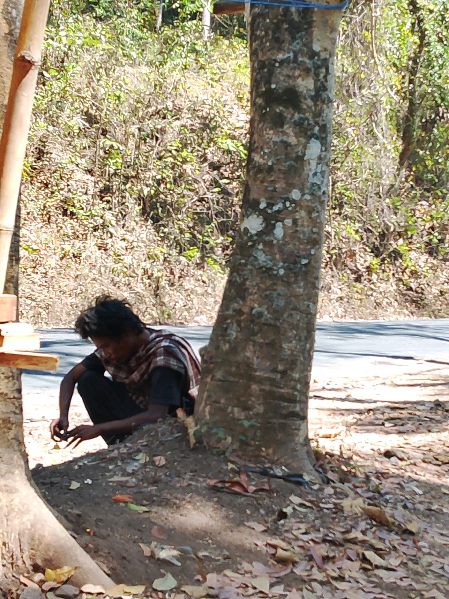 A person is crouched beside a tree on the side of a road in Pagak, Indonesia. The individual is wearing dark pants and a plaid shirt draped over their shoulders, with their head bowed and hands engaged with something on the ground. The surrounding environment is rural, with a dense forest or overgrown vegetation covering a hillside behind the road. Sunlight casts shadows on the ground, which is covered with fallen leaves and dirt. The tree trunk is rough and textured, with some lichen growth. A bamboo pole structure is visible to the left of the frame, and a paved road stretches into the distance.