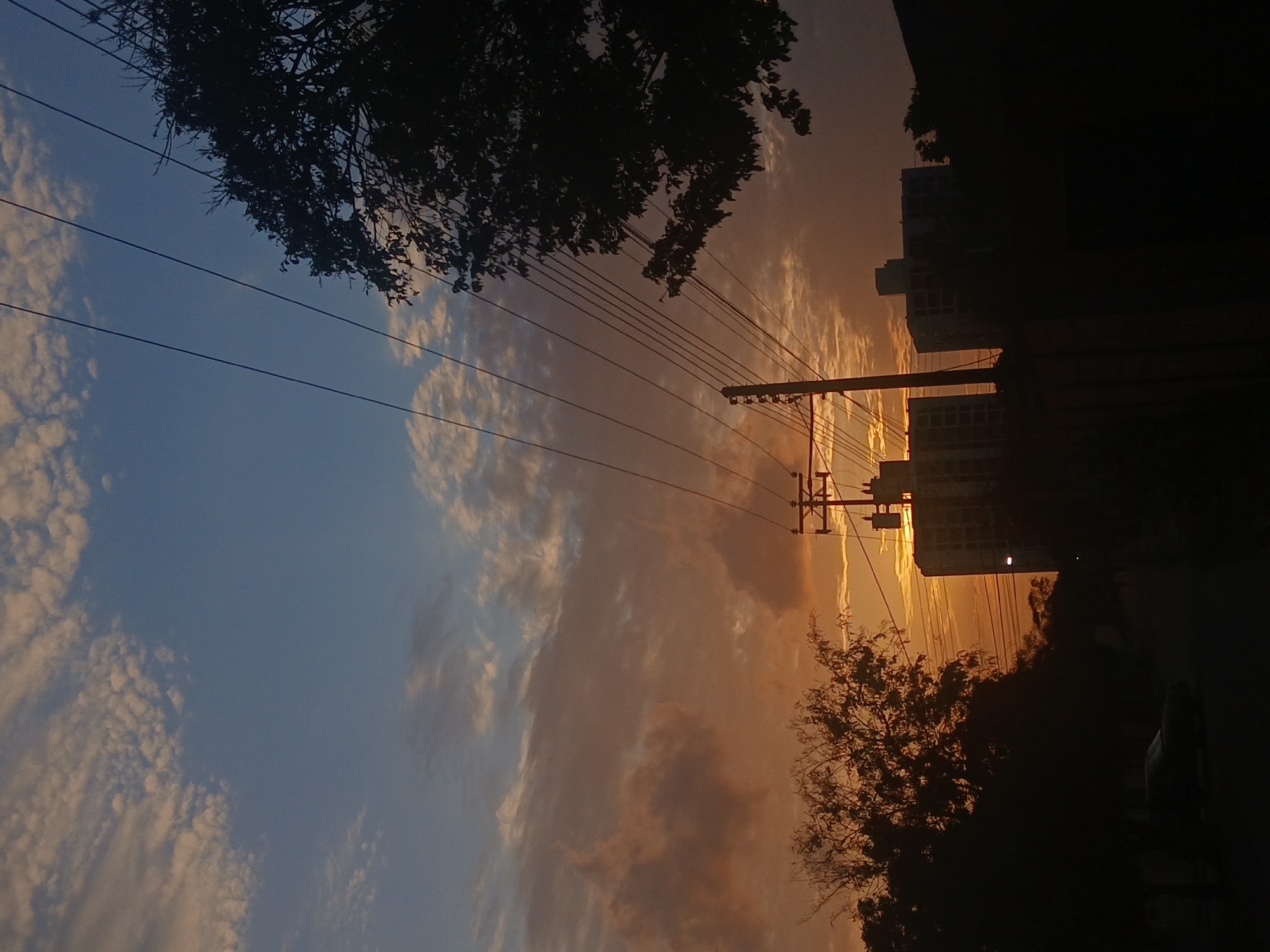 A low-angle shot of Juan Griego, Venezuela. A blue and tan sky with clouds is visible between a silhouette of trees in the upper left corner and a telephone pole that is positioned on the upper right side of the image. Power lines extend in a downward direction across the image. Tall buildings are visible to the right of the telephone pole. The silhouettes of more trees are present on the lower right of the image, and a vehicle can be seen at the bottom of the image on the right.
