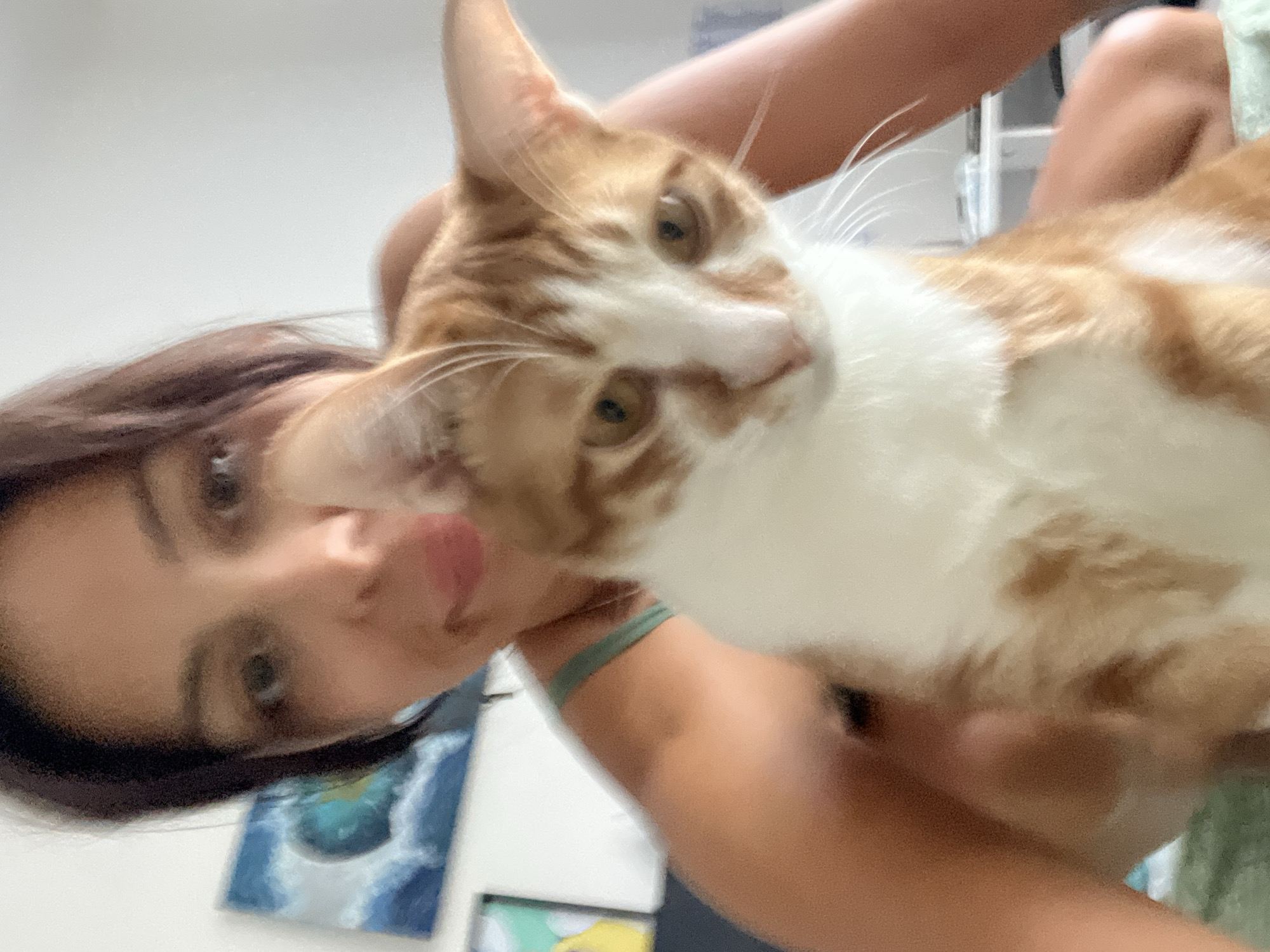 A person with dark hair and light skin holds a ginger and white cat. The person is facing the camera with their face tilted, their eyes are open and they have pink lips. The cat is looking to the right of the frame. The person is wearing a light green tank top. In the background, there are blurred objects including a blue and white painting and part of a white shelving unit. The location of the image is unknown.