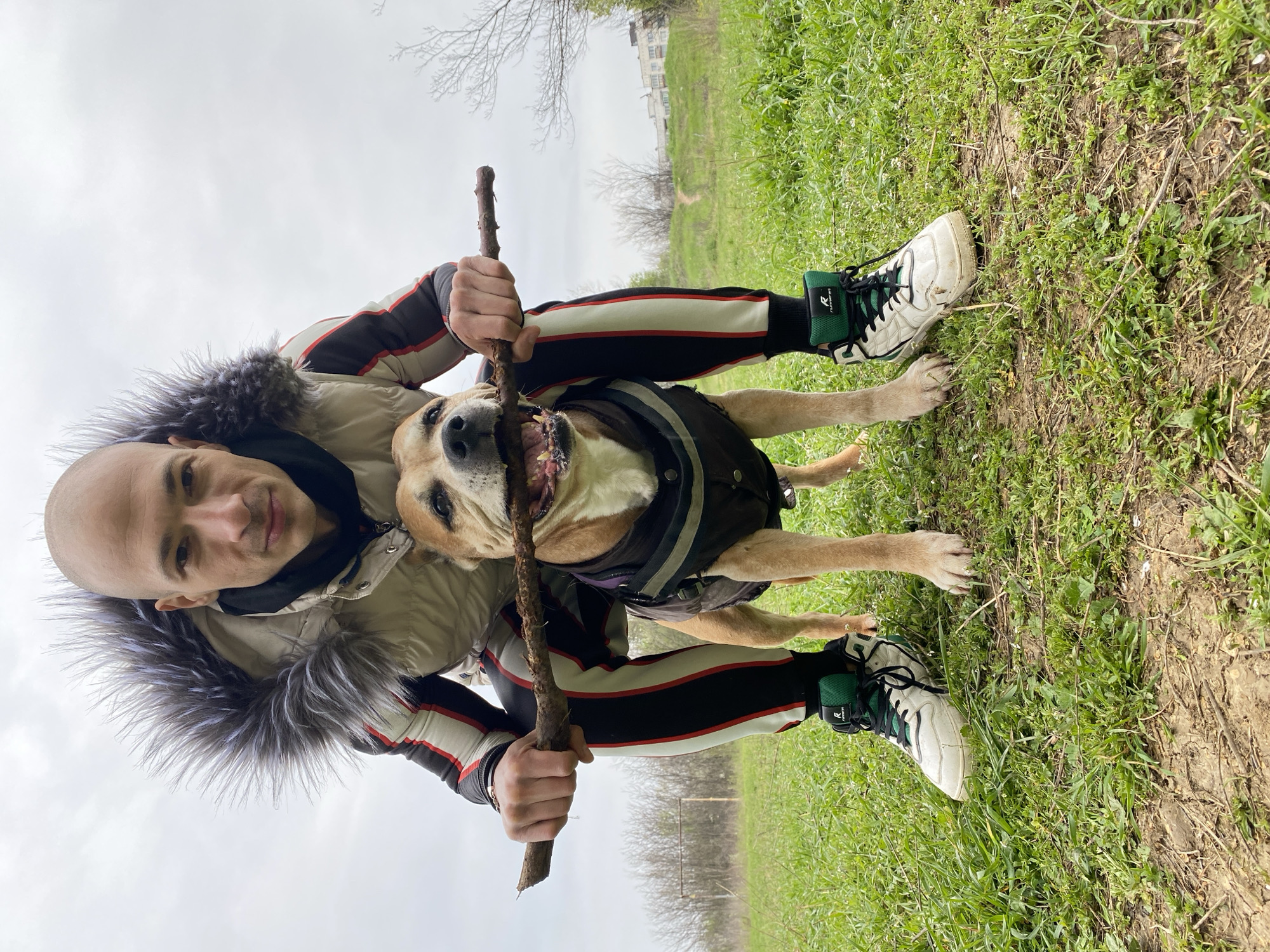 The image captures a man and a dog outdoors. The man has a shaved head and is wearing a beige jacket with a fur-lined hood and black track pants with a white and red stripe. He is holding a stick in both hands, which the dog is biting. The dog is light brown and is wearing a black vest. Both are positioned in a grassy area, appearing to be a park or field, given the presence of grass, trees, and a glimpse of buildings in the background. The photo appears to be taken in the daytime under an overcast sky. Given the prompt request, it is likely the location is in the city of Pleven, Bulgaria, although there are no distinct landmarks visible in the image to confirm the specific location within the city.