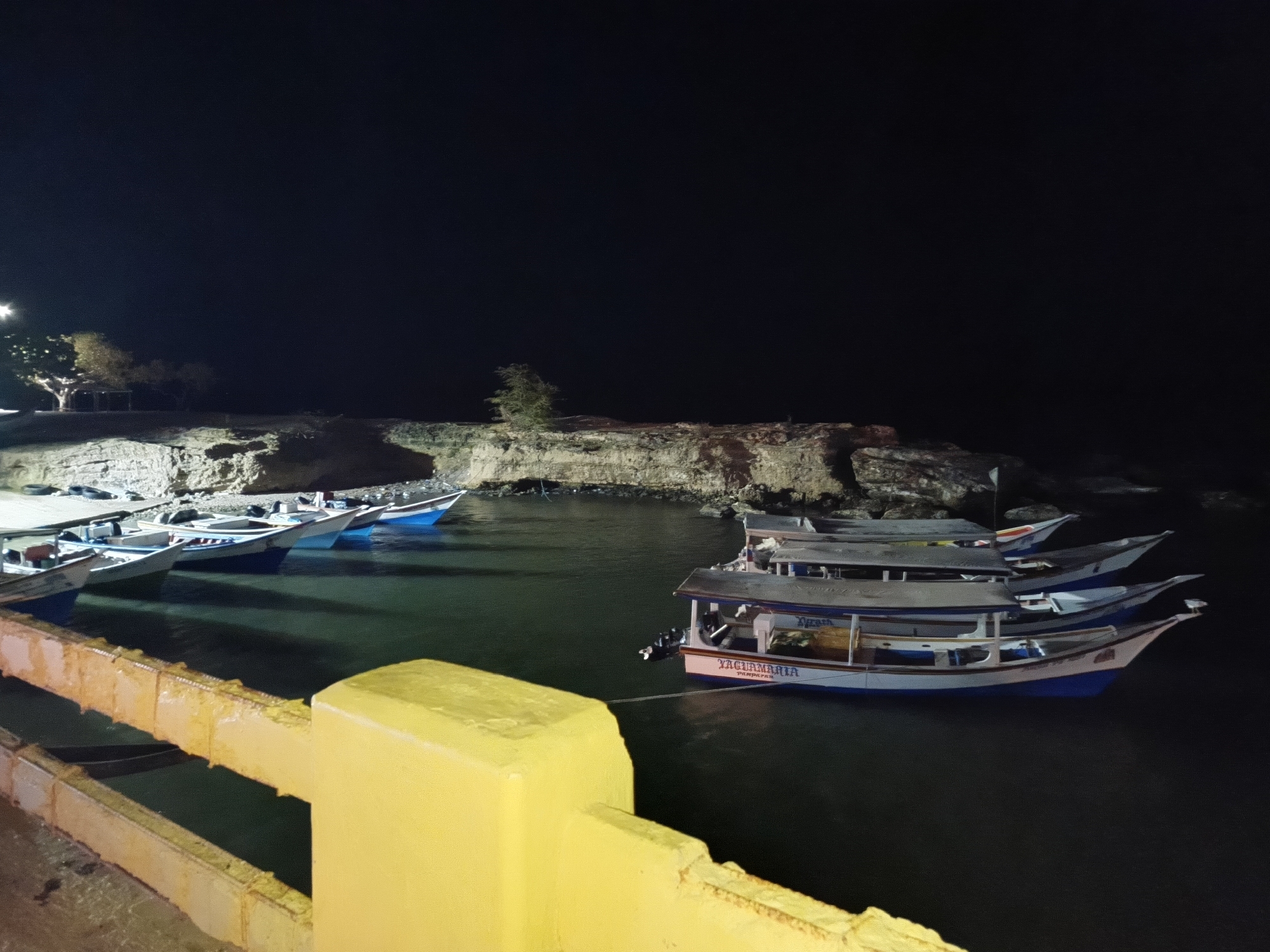 The image depicts a night scene in Juan Griego, Venezuela, with several boats moored in a harbor. The boats are mostly small, with some having canopies. One boat is named "YAGUAMARIA." The water is dark and reflects the limited light. In the background, a rocky shoreline is visible with sparse vegetation, illuminated by distant lights. A yellow railing is in the foreground.