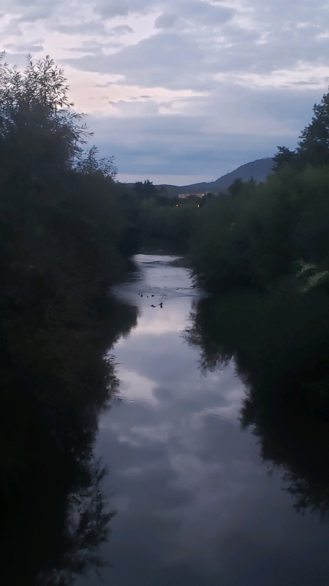 A wide shot shows a river flowing through a natural area with trees on both sides. The sky above is cloudy and appears to be either dawn or dusk. There are several ducks swimming in the river. In the distance, there are hills and some lights from a town, suggesting a populated area nearby. The image does not contain any explicit visual cues to pinpoint a specific location within the city of Prešov, Slovakia, but it depicts a natural landscape adjacent to an urban or suburban environment.