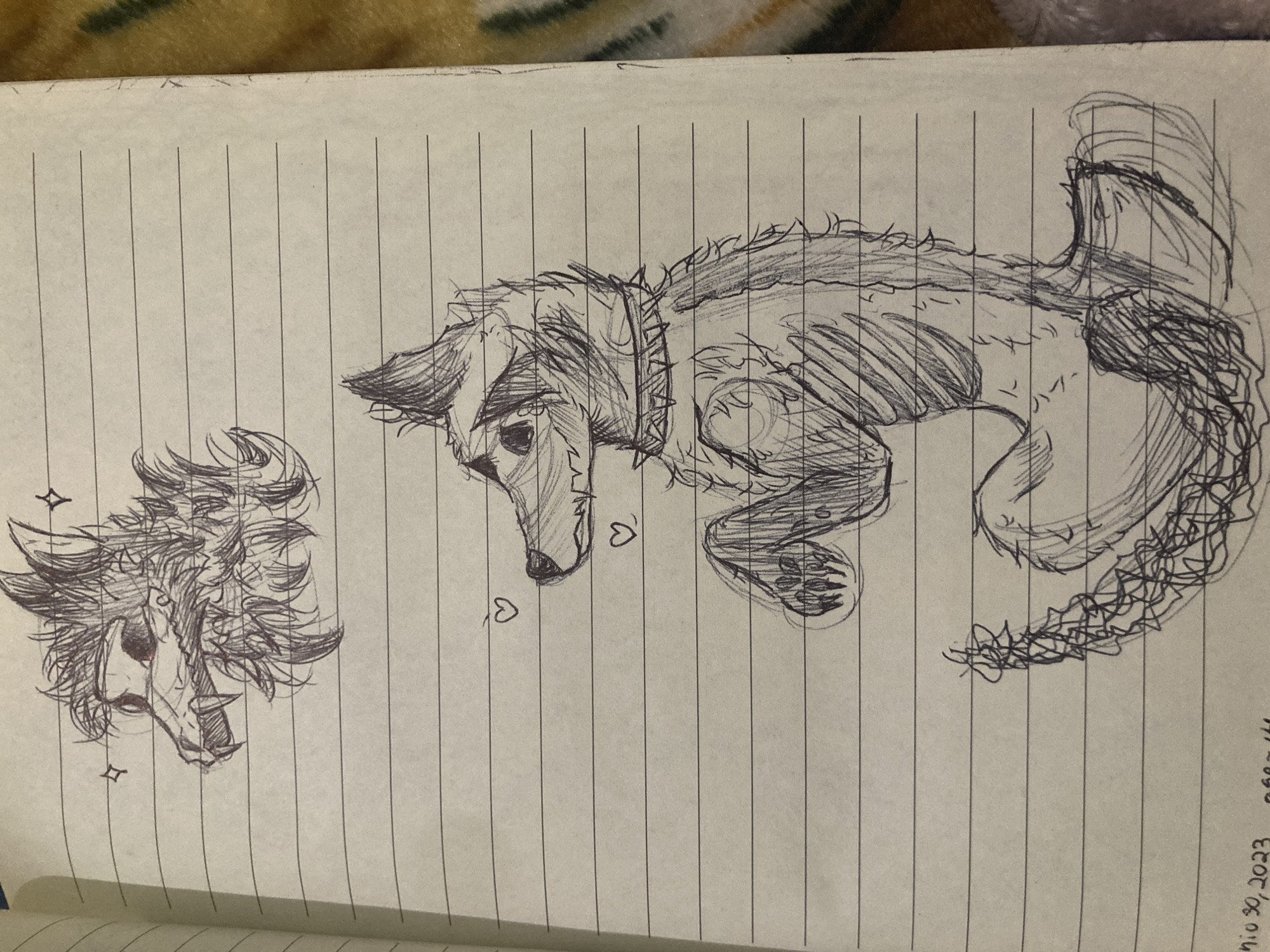 The image shows a sketch in pen on lined paper, depicting two views of a creature resembling a wolf or dog. On the left is a head-on view of the creature, its mouth open in a snarling expression, surrounded by a profusion of fur or hair. The creature appears to have visible teeth and a menacing gaze. On the right side of the paper is a full-body depiction of the same creature lying down, facing left. It has a collar with spikes, a long body, and a somewhat bushy tail. Two small heart shapes are drawn near the creature's nose. The style of the sketch suggests a quick, expressive rendering of the subject. The date "Octo 30, 2023" is written on the lower right corner of the page. The location is not possible to determine from the image.