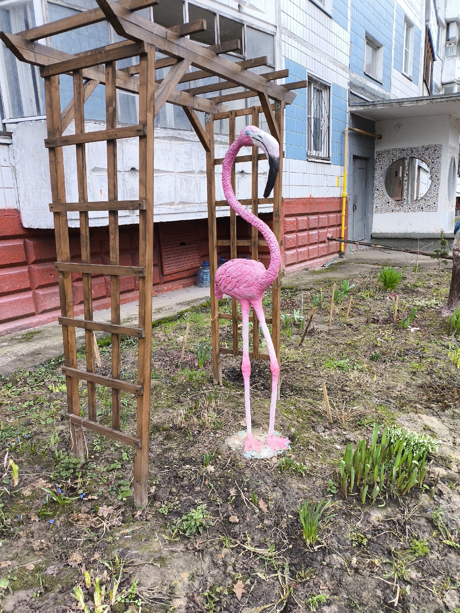 A pink flamingo lawn ornament stands inside a wooden arbor in a garden in Khimki, Russia. A building with a gray entrance and windows with security bars is in the background. The garden has young plants emerging from the soil.