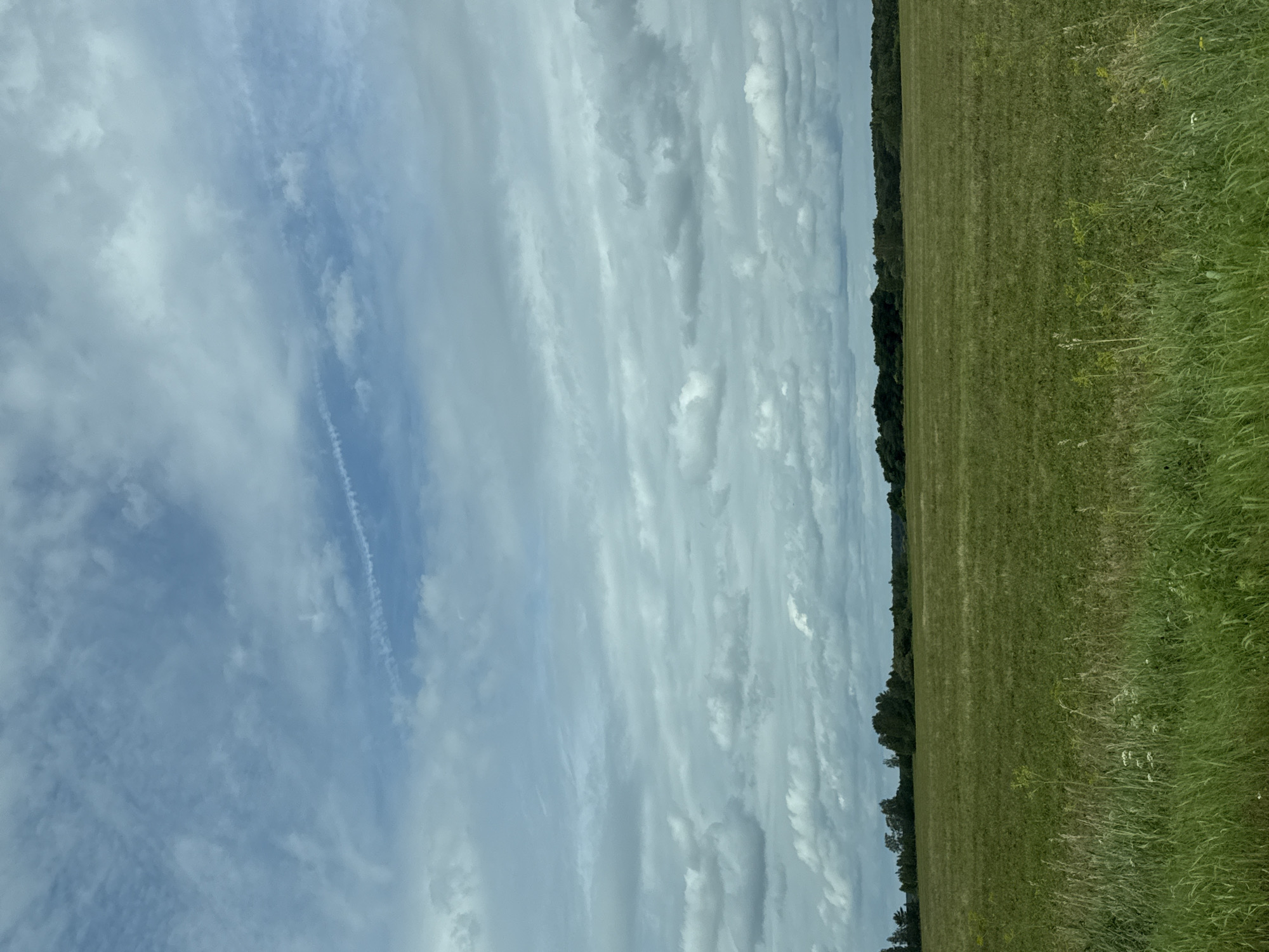 The image depicts a vast, flat landscape under a cloudy sky. A green field occupies the majority of the foreground and middle ground, with tall, green grass and some scattered wildflowers visible in the immediate foreground. In the distance, a dense line of trees forms a dark horizon against the lighter sky. The sky itself is a mosaic of blue and white, with layered clouds creating a textured appearance, and a faint contrail is visible in the upper portion. The scene is devoid of people or any man-made structures, presenting a natural, open environment. The location is identified as Ключи, Russia.
