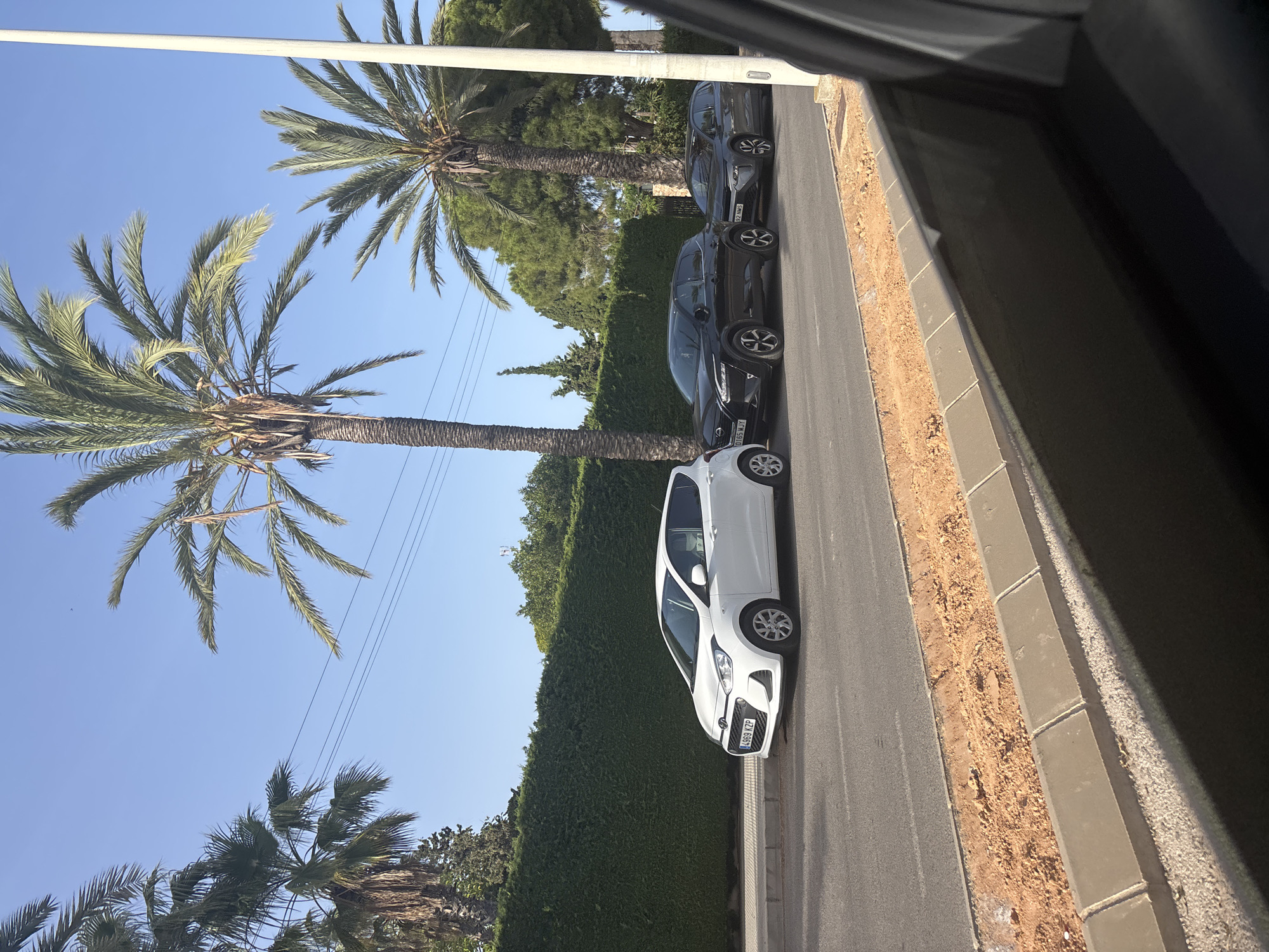 The image shows a line of cars parked on the side of a road. The cars are parked parallel to a neatly trimmed green hedge, behind which are trees and a clear blue sky. Tall palm trees are visible in the background. The road in the foreground is paved, with a raised curb and a strip of loose dirt and gravel next to it. The cars are a white hatchback, a dark colored SUV, and a dark colored sedan. All cars appear to be stationary. The scene appears to be in a sunny, outdoor location, possibly a residential area or a street lined with landscaping. There are no people visible in the image.