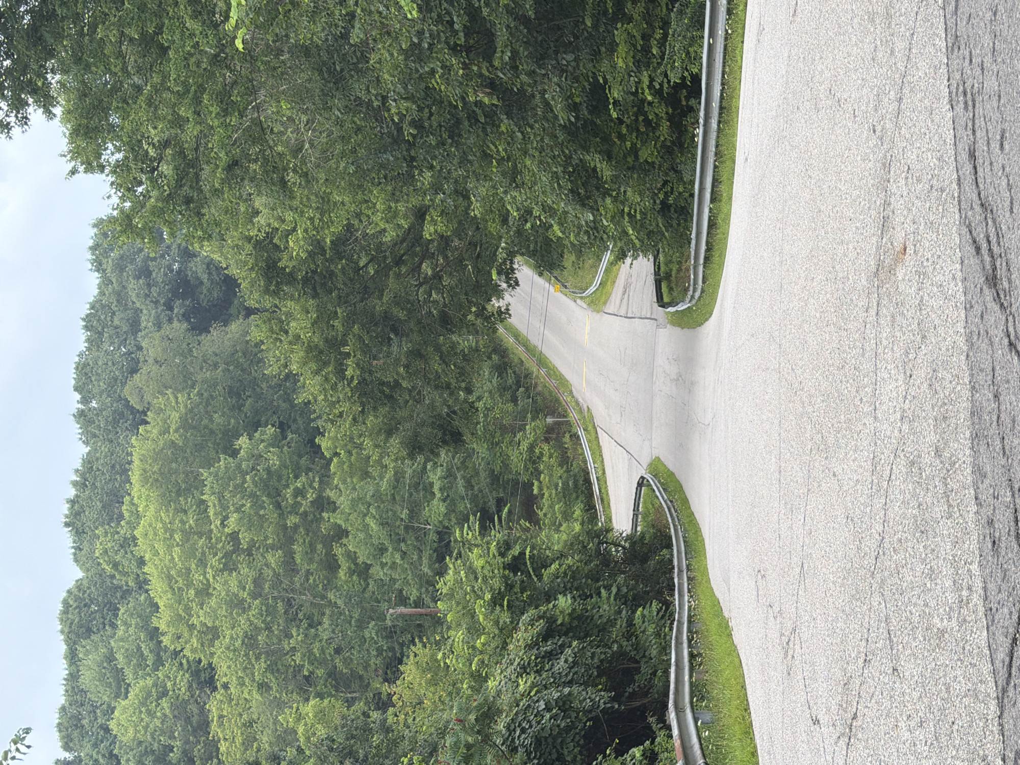 The image depicts a two-lane asphalt road winding through a heavily wooded area. The road has yellow lane markings and guardrails on both sides. The trees are dense and green, with a variety of deciduous species. The sky is overcast. The scene appears to be located in a rural or suburban setting. The provided crops suggest the area is possibly in Negley, United States, given the appearance of a telephone pole and the overall rural landscape. No people or animals are visible in the image. The road surface shows signs of wear and tear with cracks and patches.