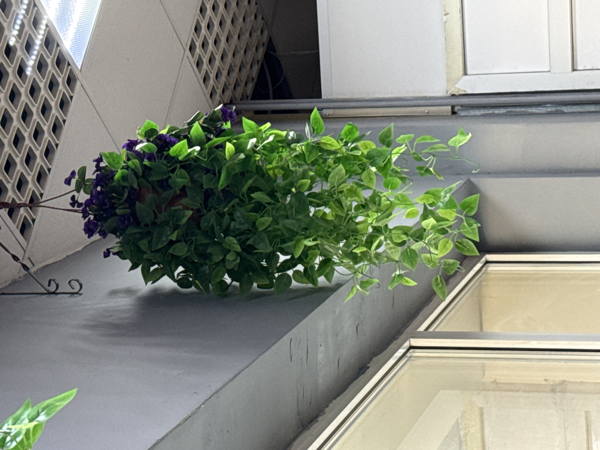 The image shows a hanging artificial plant with green leaves and purple flowers, suspended from a ceiling by a wire. The plant is located indoors, possibly in an office or public space, as indicated by the tiled ceiling and fluorescent lighting. The background consists of a gray wall and what appear to be glass windows or partitions. There is no indication of the location being in Norilsk, Russia, or any specific city. The scene is static and does not contain any people or discernable actions. The lighting is artificial and casts shadows on the wall.
