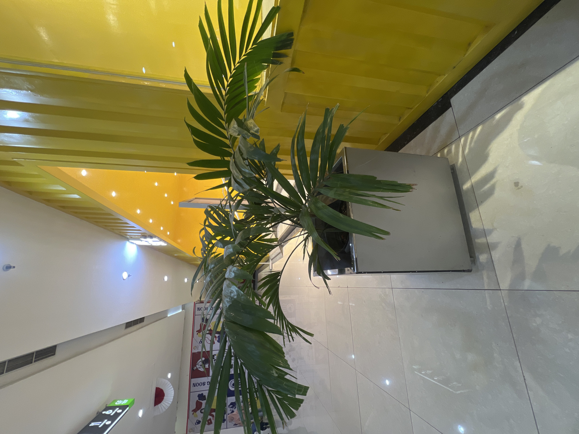An indoor potted plant with large green fronds stands in a stainless steel planter against a bright yellow wall in what appears to be a modern commercial space. The floor is tiled with large, light-colored square tiles that reflect light. In the background, a white ceiling with recessed lighting and air vents is visible. A sign with green and black lettering is partially visible on the left, along with a red and white decorative fan shape. A poster with cartoonish figures is also partially visible behind the plant. The scene suggests an indoor public area such as a mall or a commercial building.