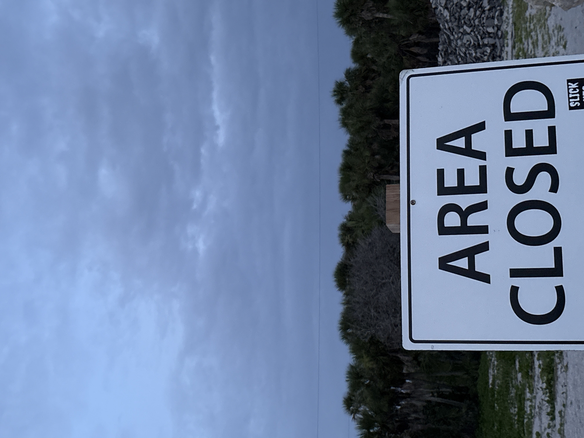 A low-angle, outdoor, medium shot captures a white rectangular sign with black capital letters that reads "AREA CLOSED." The sign is positioned in the foreground, angled slightly to the right. Behind the sign, a dense line of palm trees and other foliage forms a dark green backdrop against a cloudy, overcast sky. A thin horizontal power line is visible in the distance above the trees. The ground in front of the sign appears to be sandy with patches of green vegetation. To the right of the sign, a pile of light-colored, unevenly shaped objects, possibly shells or rocks, is present. The overall lighting suggests it is either dusk or dawn, with a diffused, cool light. No people or animals are visible in the frame.