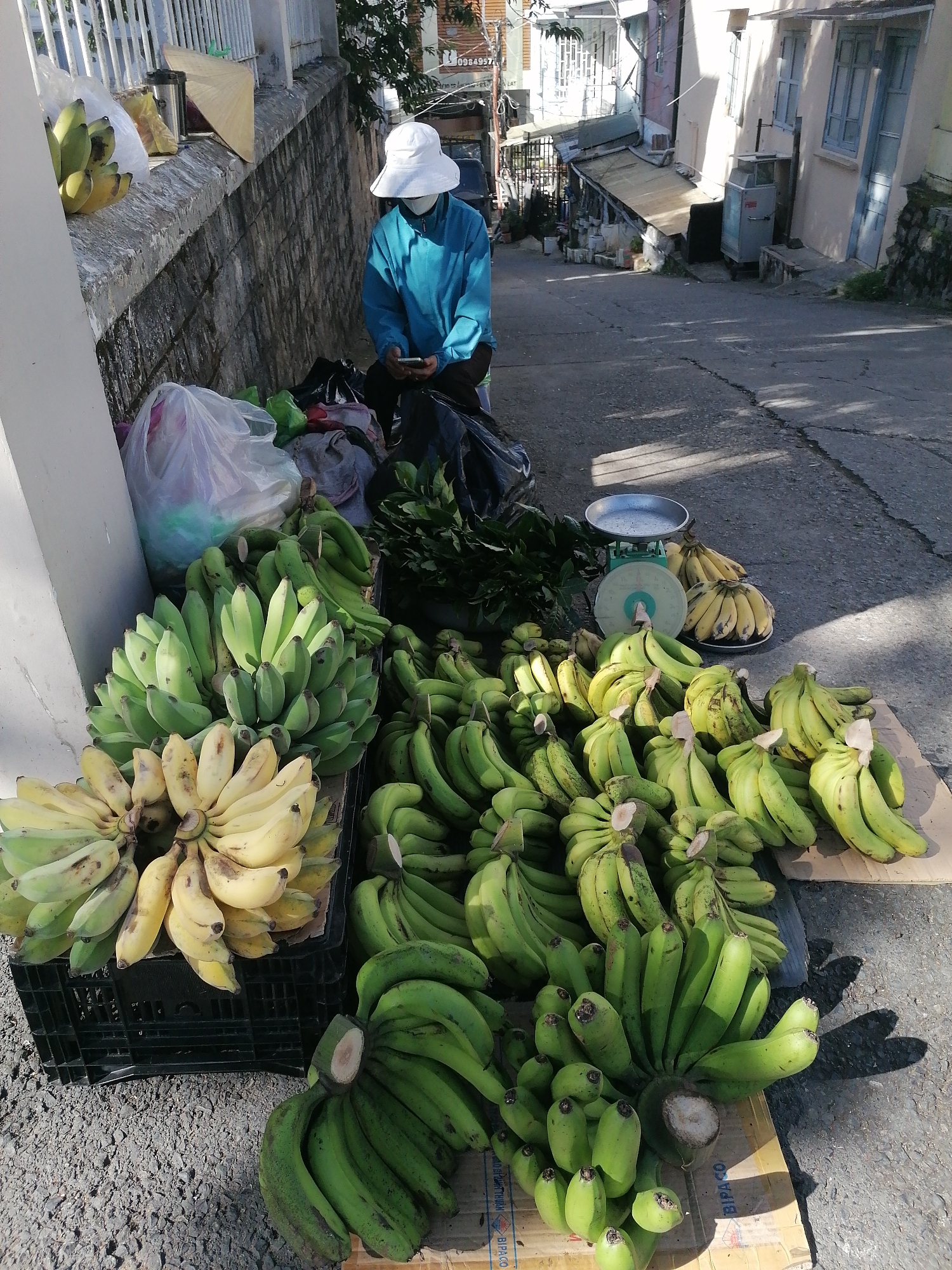 An individual wearing a white conical hat and a bright blue jacket is sitting on the ground next to a large collection of bananas. The person is looking at their phone. The bananas are piled on the street, with some in black crates and others directly on cardboard. There is a scale with a silver pan and a green base to the right of the bananas. In the background, buildings line a sloped street, suggesting a market or roadside stall in a Vietnamese city like Da Lat. The scene appears to be outdoors on a sunny day, with shadows cast on the asphalt.