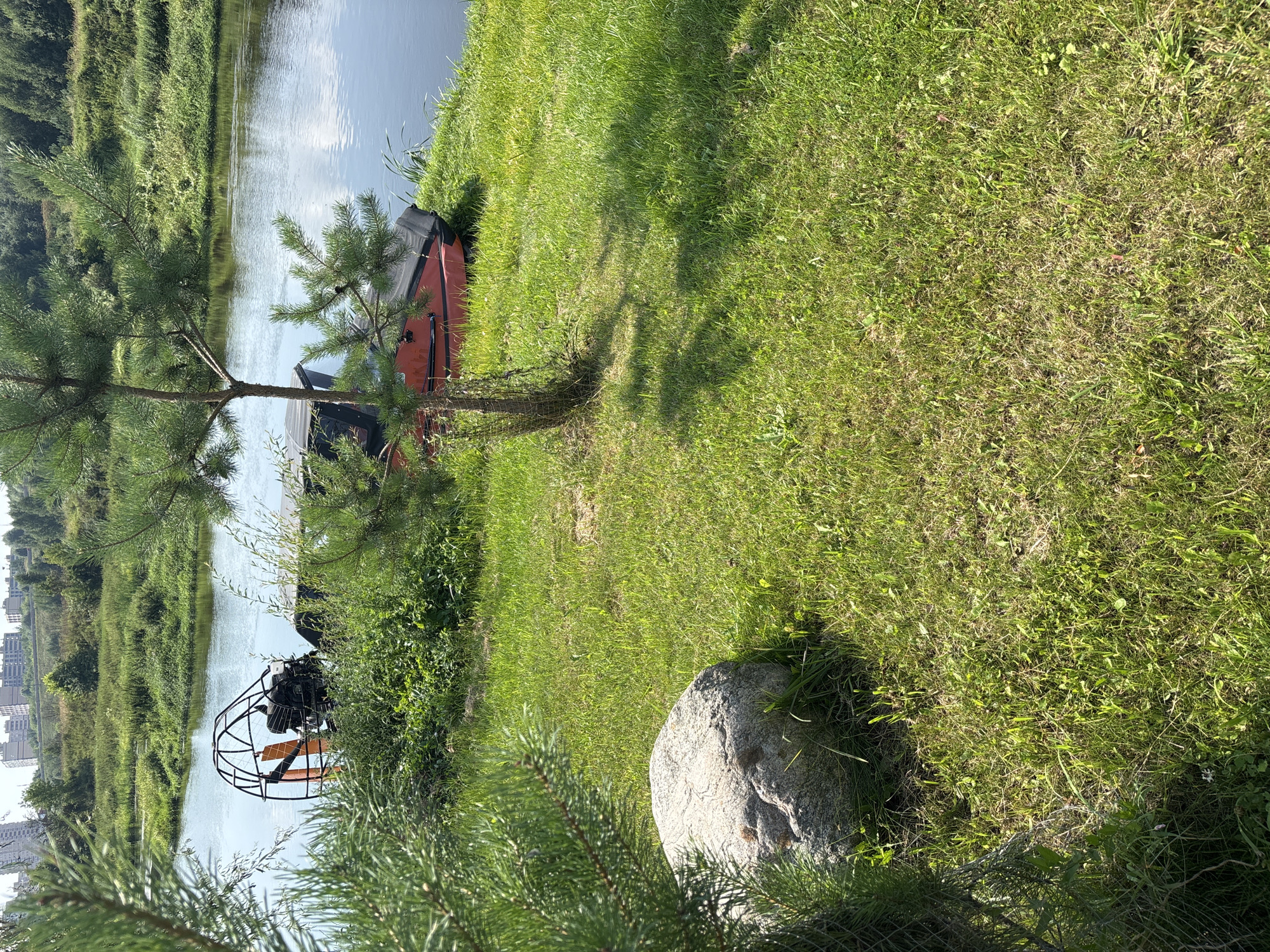 This is a photograph of a bright, sunny day scene on the bank of a river, likely the Moskva River, in Zvenigorod, Russia. In the foreground, a large, rough-textured grey boulder rests on a lush green lawn. To the left, the needles of a pine tree partially obscure the view. A small pine sapling stands near the center of the frame, casting a shadow on the grass.
The middle ground features a red hovercraft with a black protective cover and an exposed engine with an orange propeller, parked on the grassy bank of the river. The river itself is calm and reflects the blue sky. On the far bank, dense green vegetation and trees create a natural backdrop. In the distance, along the horizon, several multi-story buildings are visible, suggesting the presence of a city or town. The overall impression is one of a peaceful, natural setting with hints of urban development in the background.