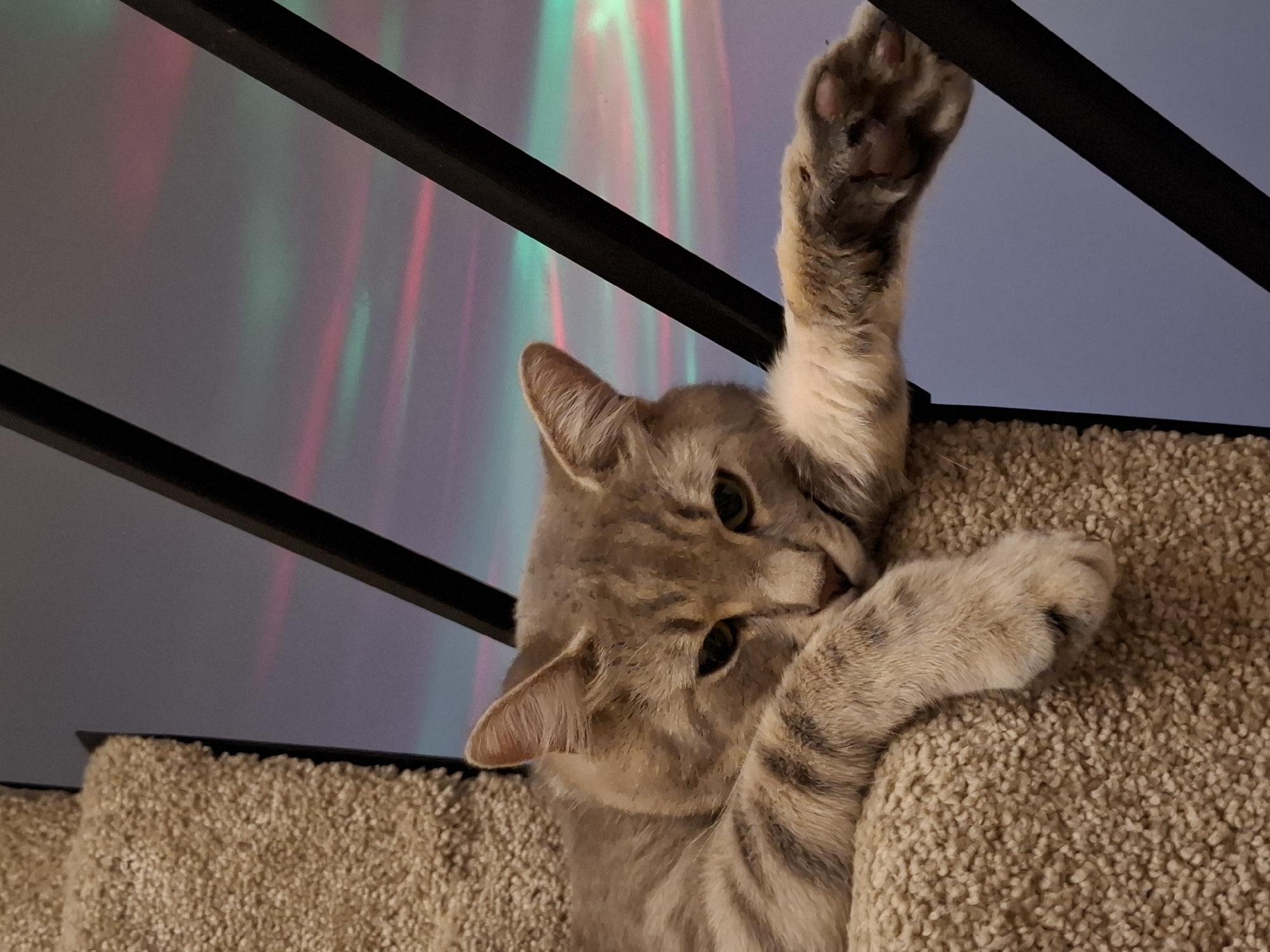A grey tabby cat with green eyes is lying on a carpeted staircase, its front paws draped over a black railing. The cat's head rests on its paws, and its body is partially obscured by the carpet. In the background, colorful light streaks of pink and green are projected onto a grey wall, creating a bokeh effect. The scene is illuminated by an unknown light source, casting soft shadows. The overall impression is one of a relaxed and comfortable pet in a dimly lit room with an artistic light display.