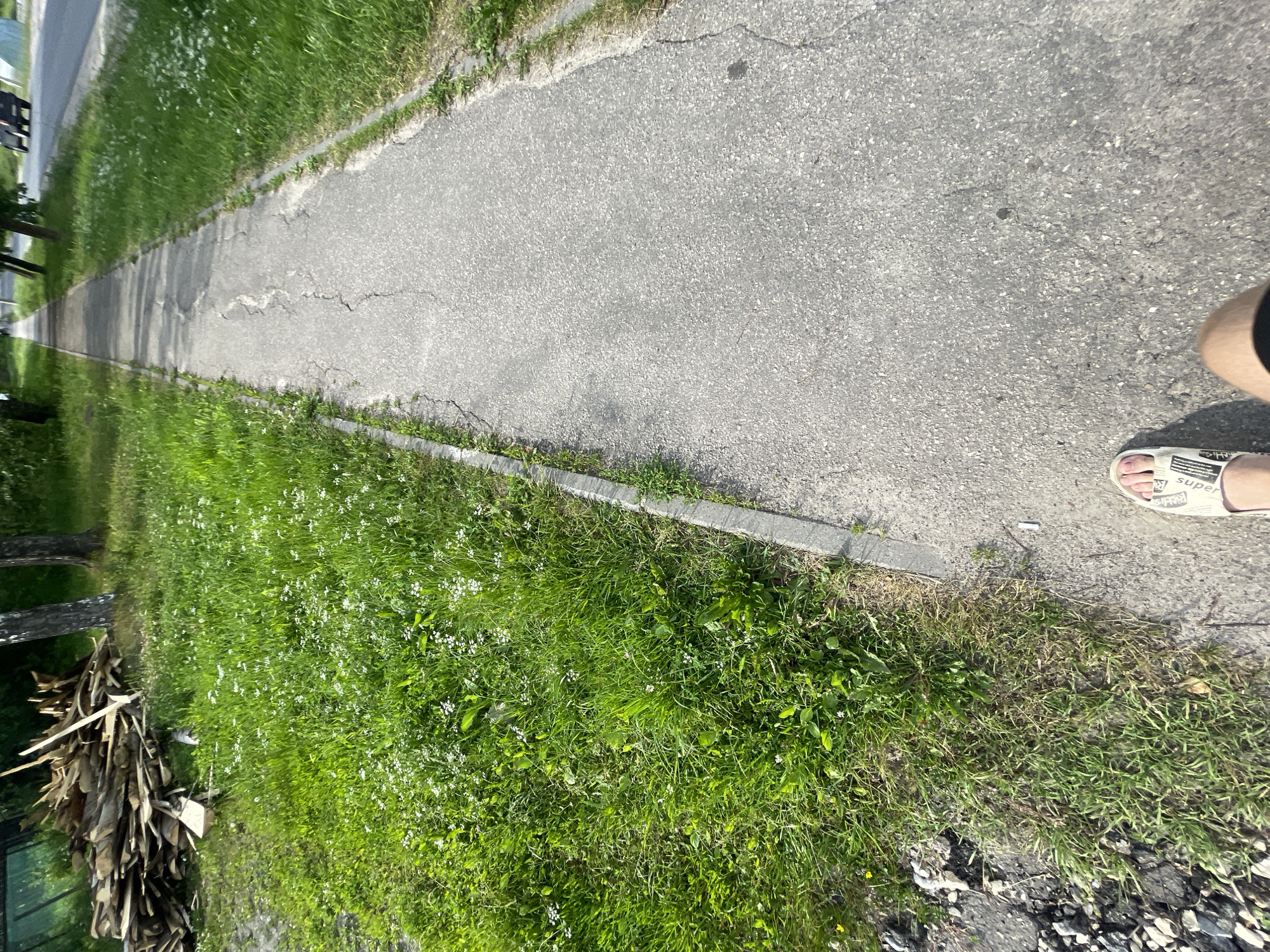 The image shows a person's feet, wearing white sandals, walking on a paved sidewalk. The sidewalk is next to a grassy area with small white flowers. To the left of the grassy area, there is a pile of cut wood and debris. In the background, there is a road with a car, trees, and more grass. The scene appears to be in a suburban or semi-rural area. The location is Красные Баки, Russia.