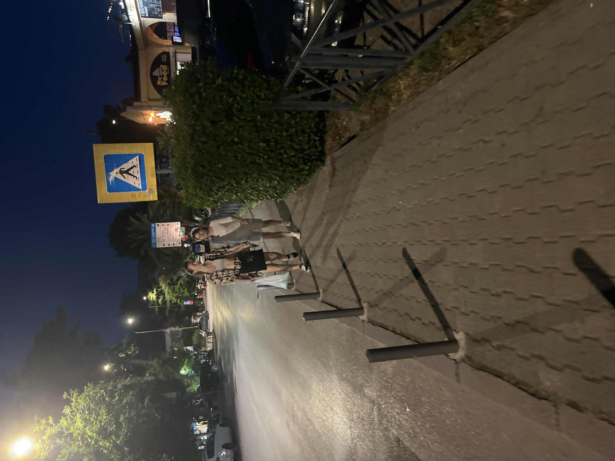 Two individuals are walking on a paved sidewalk at night. The person on the left is wearing a patterned shirt and a dark skirt. The person on the right is wearing a light-colored shirt and light-colored shorts. They are walking towards the right side of the frame. A street with parked cars is visible to their left, and a dense green hedge is on their right. A pedestrian crossing sign is mounted on a pole behind the hedge. The sky is dark blue, indicating nighttime. The environment appears to be an urban setting, possibly a street or a promenade.