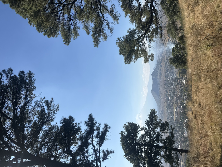 A scene viewed through the branches of trees against a clear blue sky. Below the trees, a landscape unfolds with a distant mountain visible through the haze. A town or settlement sits nestled in the valley, partially obscured by what appears to be smoke. The foreground includes dry, grassy terrain. The image orientation is rotated, with the sky appearing at the center.