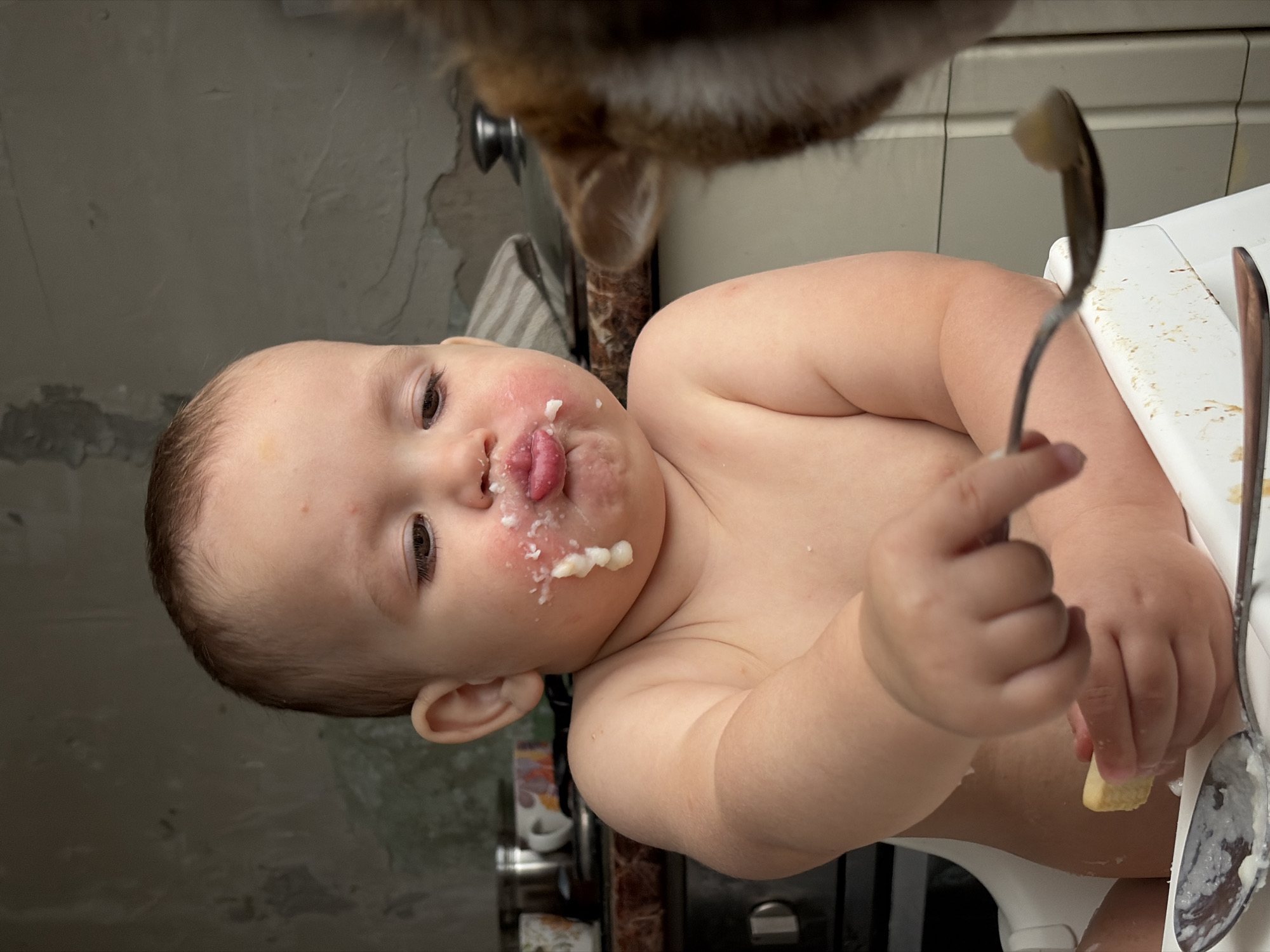 The image shows a baby sitting in a high chair, covered in food, with a spoon in its hand. The baby is partially naked, with some food on its face and chest. Another spoon with food on it is on the high chair tray. A portion of a pet, possibly a cat, is visible in the upper part of the frame. The background appears to be a kitchen setting. There is no indication of the location being in Chaikovsky, Russia.