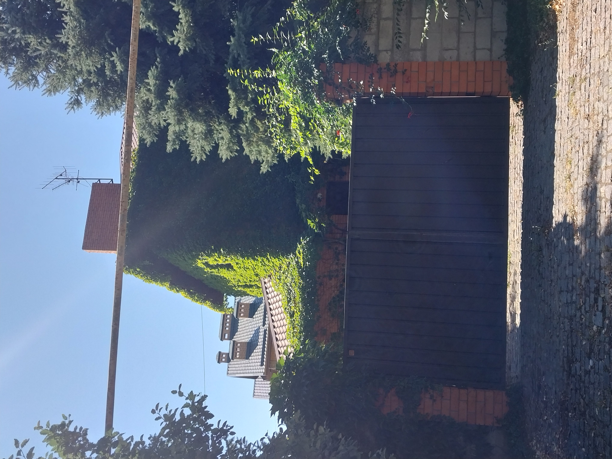 This image depicts a large, dark metal gate in front of a brick and stone wall, located in Doslidne, Ukraine. The gate is partially covered by ivy. Behind the gate, a building with a red-tiled roof is visible, also extensively covered in green ivy. Several chimneys protrude from the roof. In the background, large evergreen trees are present. A horizontal metal pipe runs across the upper portion of the image. The sky is clear blue.