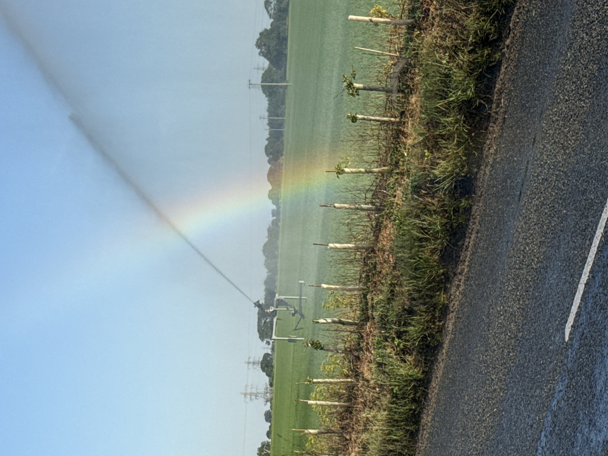 The image shows a bright rainbow in a field near what appears to be irrigation equipment, possibly a sprinkler. A row of short wooden posts runs along the edge of the field, separating it from a dark asphalt road with a white line marking the lane. Electrical power lines are visible in the background across the field. The location is likely Great Yarmouth, United Kingdom, based on the agricultural landscape and infrastructure.