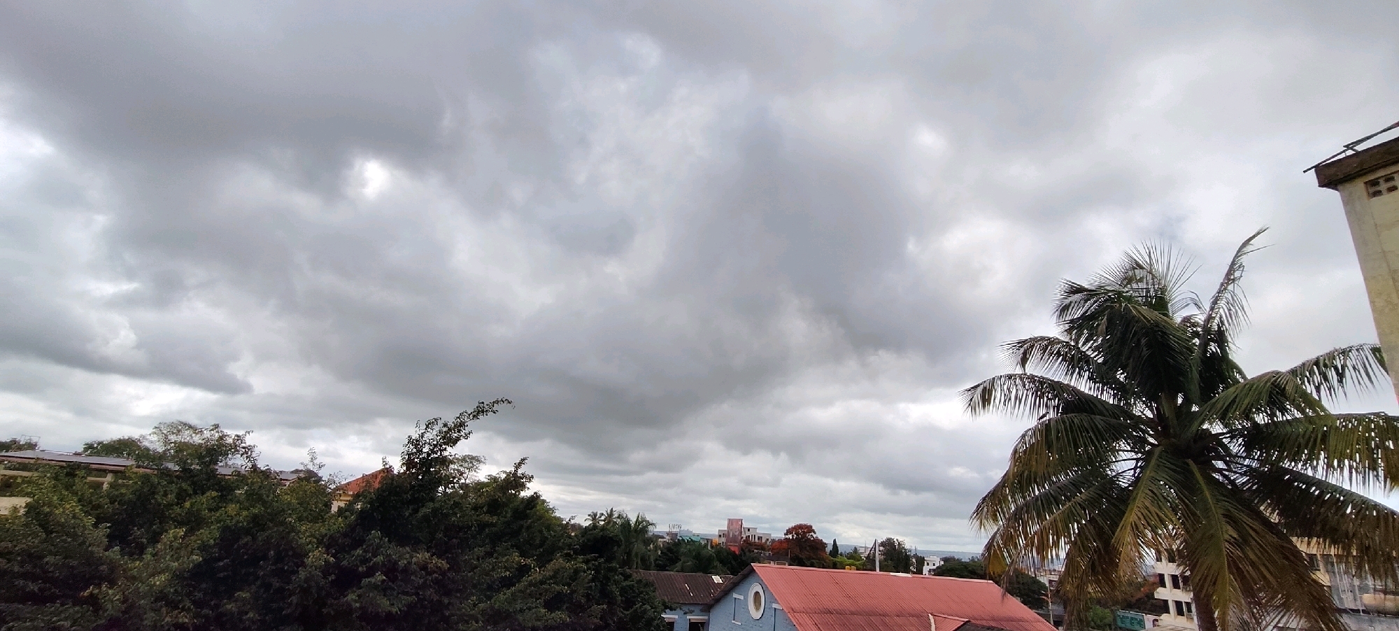 The image captures a cloudy sky over a cityscape, likely in Belagavi, India, given the provided hints. In the foreground, lush green trees dominate the left side, with a prominent palm tree on the right, its fronds reaching upwards. The middle ground reveals a collection of buildings, including a red-tiled roof of a house and other structures with muted colors. A tall, light-colored building with visible ventilation openings stands on the far right. The sky is filled with heavy, grey clouds, suggesting an overcast or potentially rainy day. No people are visible in the scene.