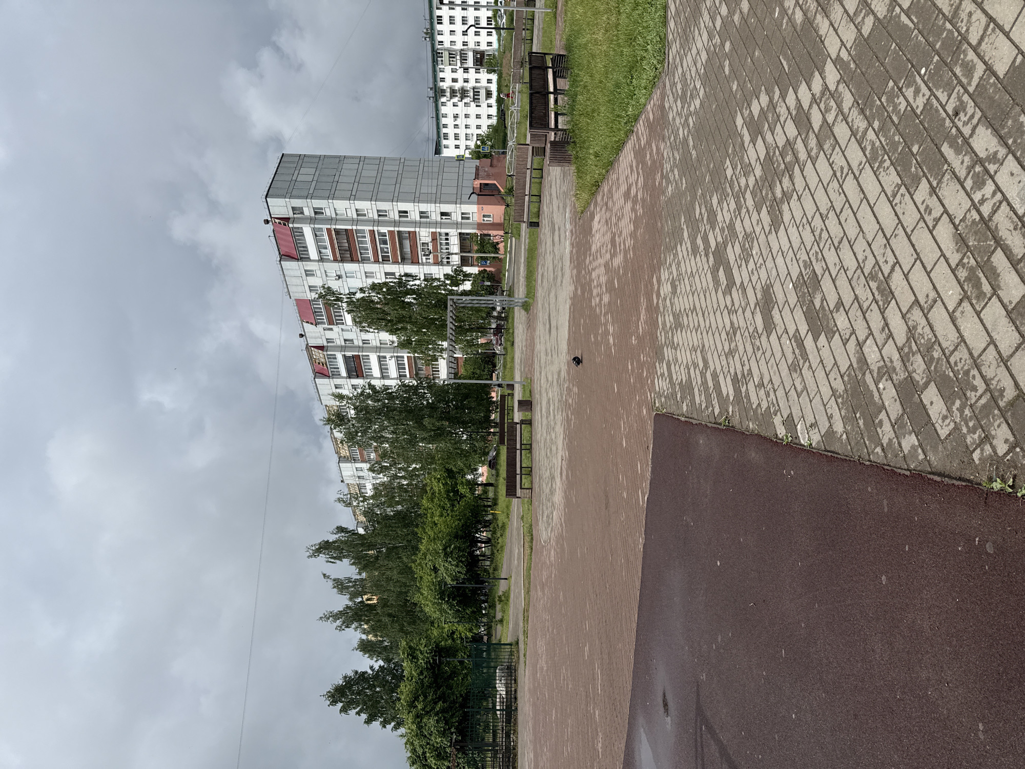 This media depicts an urban outdoor scene, likely a residential courtyard or park in Chaikovsky, Russia. The dominant subjects are tall, multi-story apartment buildings and lush green trees. In the foreground, two distinct paved paths are visible: one on the right made of light grey interlocking pavers with darker, wet patches, and another on the left, a solid reddish-brown surface also appearing damp. A narrow strip of green grass runs between these paths and alongside the paver path.
The scene shows no human activity or events taking place, contributing to a tranquil and still atmosphere. Several wooden benches are interspersed along the grassy strip and near the trees, suggesting a public area for relaxation. In the distant background, another white apartment building can be seen, partially obscured by the foliage.
Notable details include the overcast sky, which is a uniform grey with clouds, indicating either a cloudy day or the aftermath of rain, consistent with the wet appearance of the paved surfaces. A thin utility wire stretches horizontally across the sky. The architecture of the buildings, with their numerous windows and multi-story design, is characteristic of Soviet-era residential complexes. A small, dark, indistinct object (possibly a bird or debris) rests on the reddish-brown path. There is no visible text in the image. The overall impression is one of a quiet, damp, and well-established urban green space.