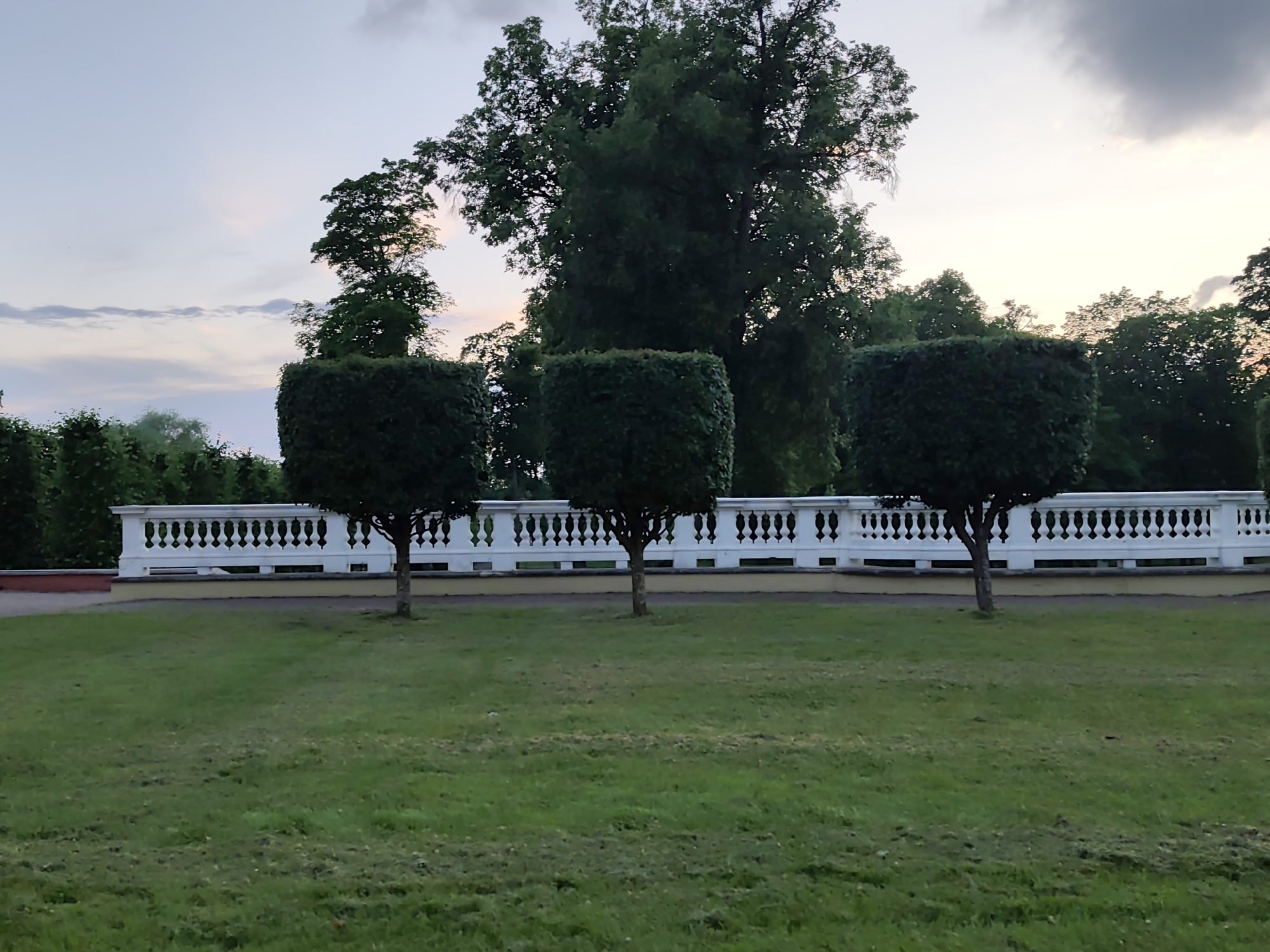 In an outdoor scene, three topiaries are arranged in a line on a grassy lawn, with a white balustrade behind them. The topiaries are square-shaped and dark green. Behind the topiaries, the white balustrade runs horizontally across the image. The balustrade is ornamental, with decorative posts and a railing. Behind the balustrade, a variety of trees are visible, with dense foliage. The sky above is a pale blue with some clouds, suggesting it is either early morning or late evening. The overall impression is one of a well-maintained park or garden.