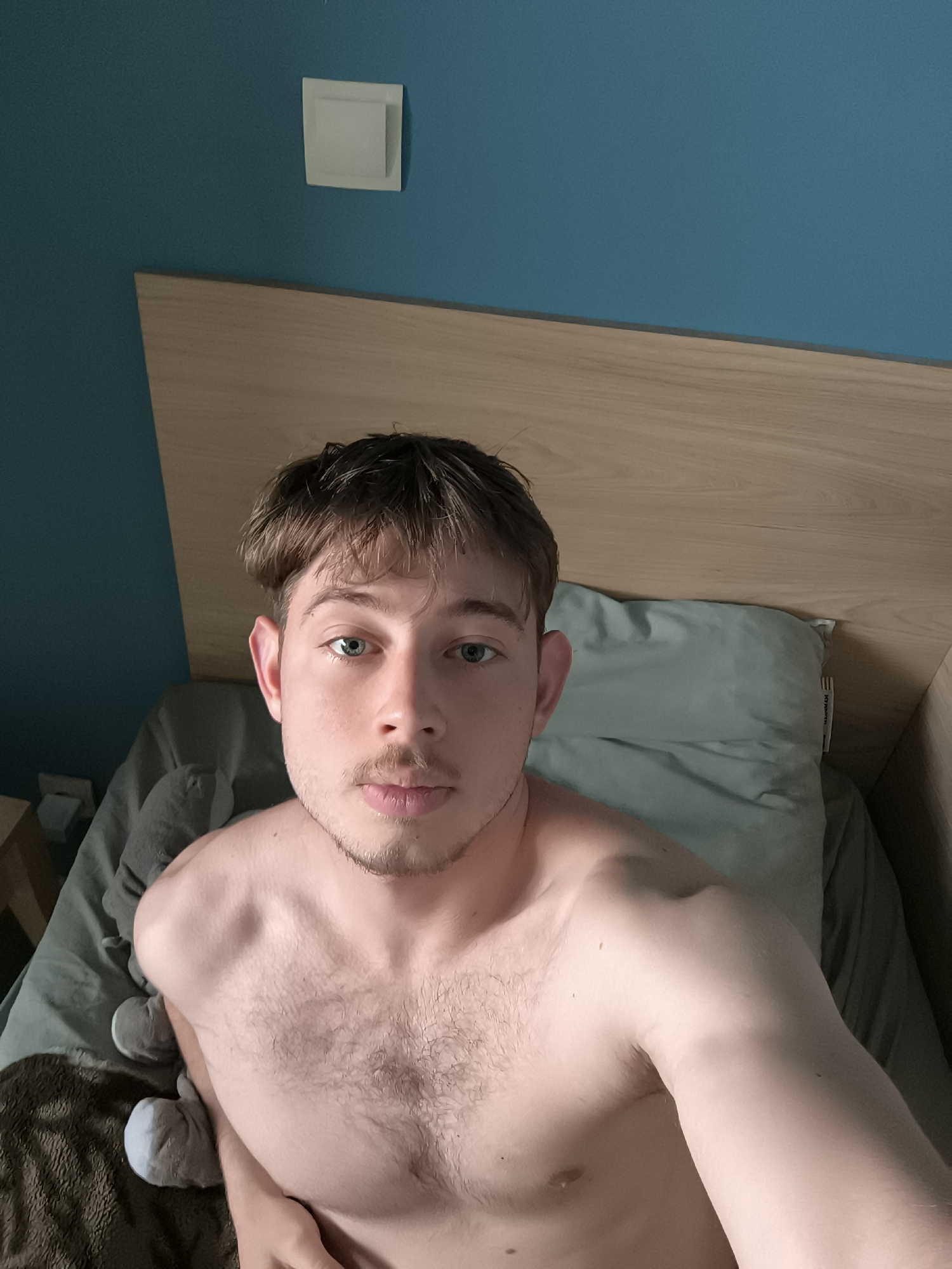 A fair-skinned, shirtless man with short brown hair and a light beard is lying in a bed with a light brown headboard. The bed is covered in gray sheets and a gray pillow. A stuffed animal is partially visible on the left side of the bed. The wall behind the bed is blue with a white electrical fixture near the top left. The man is looking directly at the camera. The location is not discernible from the image.
