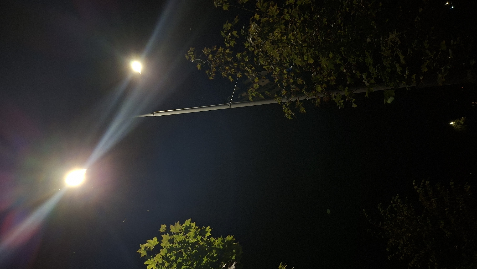 The image depicts a night scene with two streetlights illuminating the dark sky. The primary streetlight, located in the upper left quadrant, is very bright and emits strong light rays. A second, dimmer streetlight is visible in the upper right quadrant. The scene is framed by trees with green leaves, one on the left and another on the right, partially obscuring the view. The overall environment appears to be an outdoor setting in a city, possibly a park or street, in Myadzyel, Belarus. There are no people or discernible actions taking place in the image. The focus is on the illumination from the streetlights against the dark backdrop and the surrounding foliage.