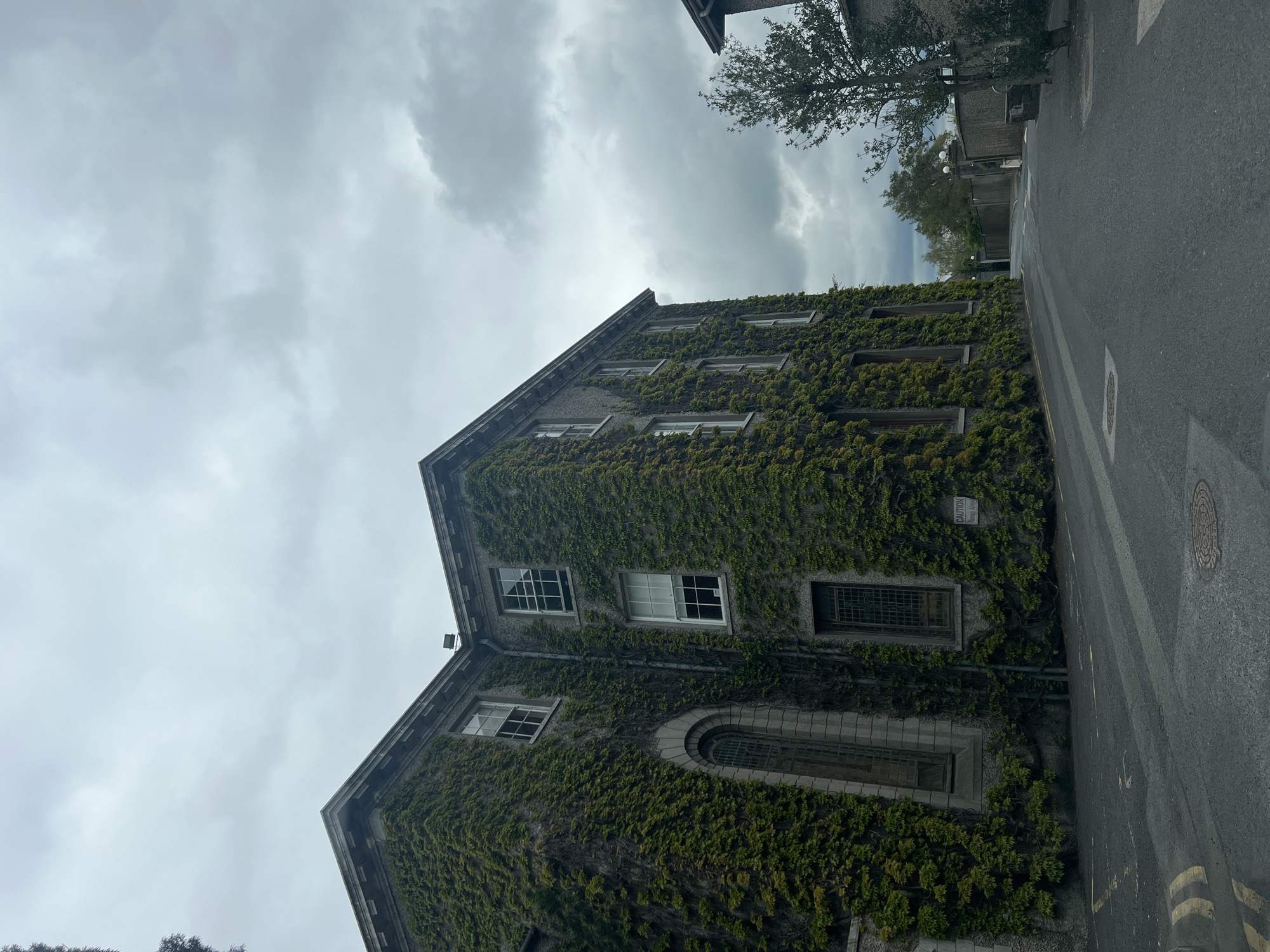 The image shows a building covered in ivy, with several windows visible. The sky is overcast, and a street runs alongside the building. The location appears to be in a city.