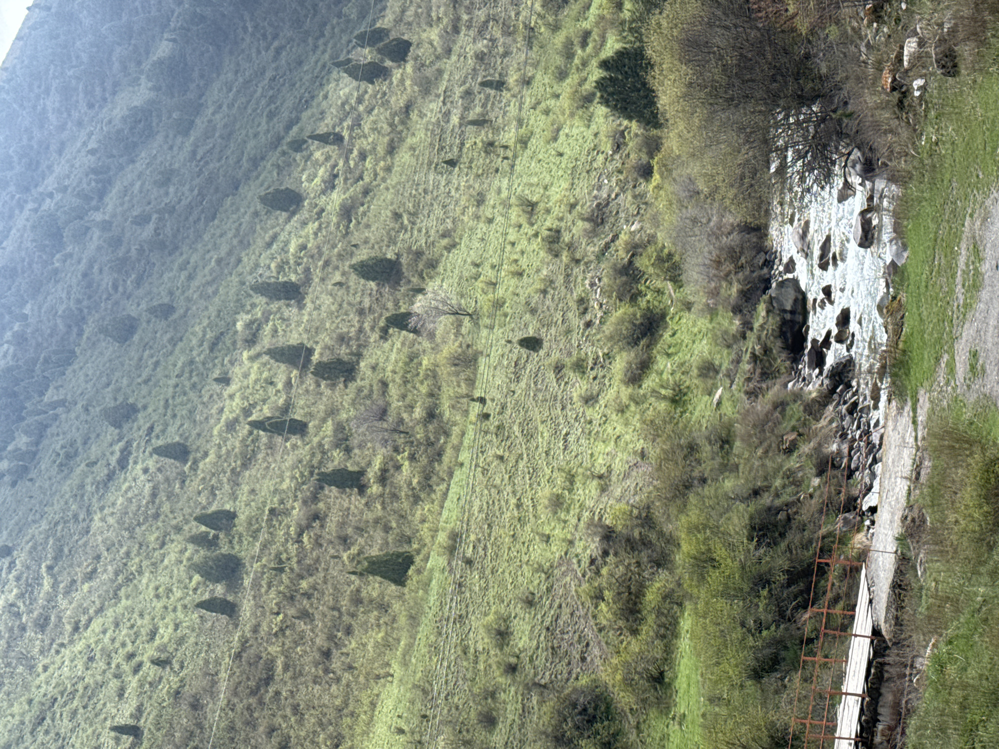 This image depicts a serene, verdant landscape in Kashka Suu, Kyrgyzstan, showcasing a lush, green mountainside sloping down to a river. The scene is characterized by dense vegetation, including abundant grass, shrubs, and scattered trees, some of which cast prominent shadows, suggesting daylight hours, likely late morning or early afternoon.
A clear river or stream, with numerous visible rocks in its bed, meanders through the lower portion of the scene. Spanning the river is a rustic bridge, constructed from wooden planks and featuring weathered, rusty metal railings. Adjacent to the river and the bridge, a unpaved dirt or gravel path is visible, indicating human presence and access to the area.
Thin, parallel lines, possibly utility cables or part of a ski lift system, run across the hillside, providing a subtle hint of infrastructure amidst the natural surroundings. The upper reaches of the hillside appear somewhat hazy, suggesting distance or atmospheric conditions. The overall atmosphere is peaceful and undisturbed, with no people or animals visible. No text is discernible within the image.
