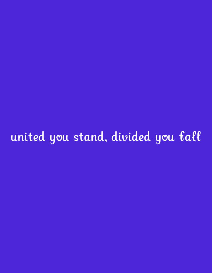 A quote in white text against a solid purple background reads: "united you stand, divided you fall."