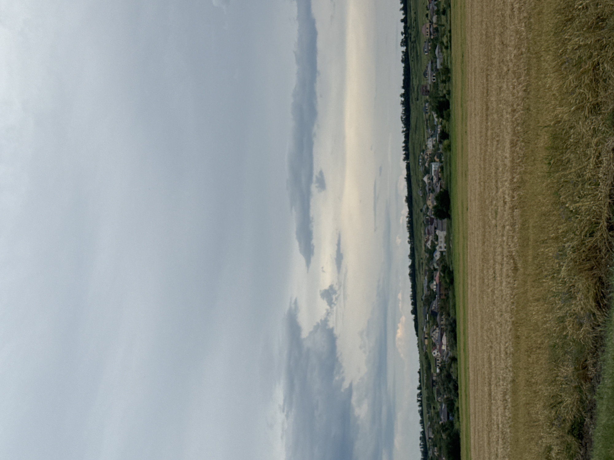 The image shows a rural landscape under a cloudy sky. In the foreground, a field of golden-brown crops, possibly wheat, stretches across the frame. A strip of green grass is visible at the very bottom of the image. In the middle ground, a cluster of houses and buildings forms a village nestled on a gentle slope. The village is surrounded by greenery and trees. The background features a rolling hill, also covered in vegetation and dotted with trees along its crest. The sky is overcast with a mix of gray and lighter clouds, suggesting a potentially overcast day. The scene appears tranquil and pastoral. There are no people or animals visible in the image. The location is identified as Mikhaylovsk, Russia.